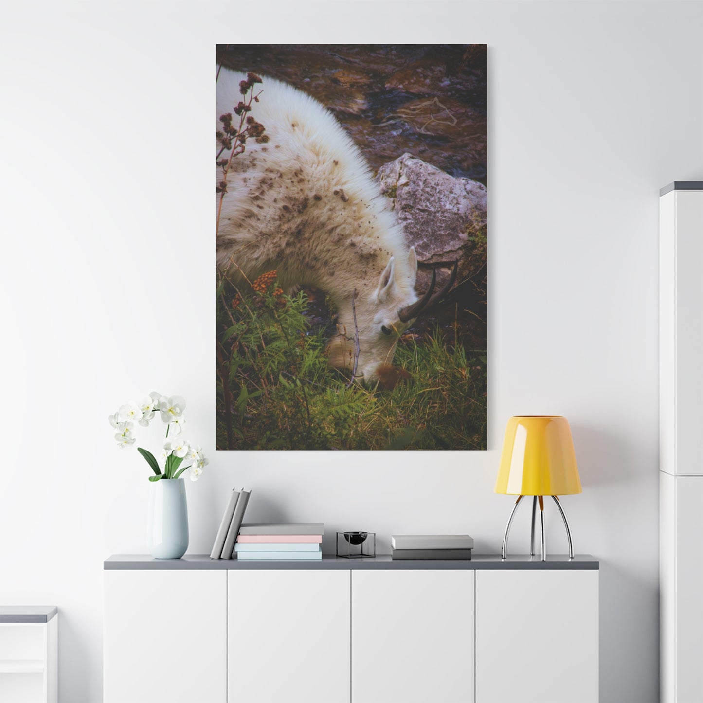 Mountain Goat Canvas