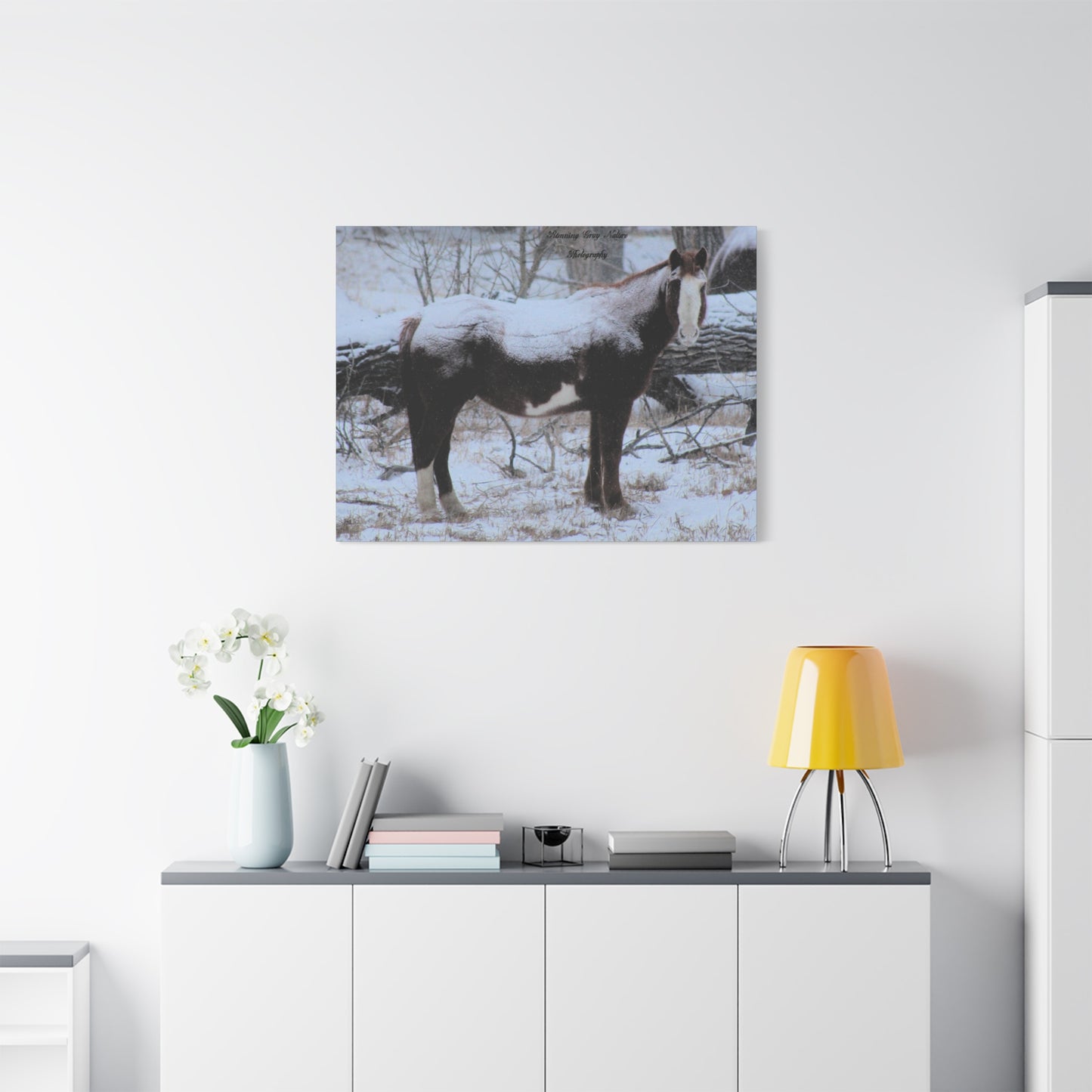 Snow Blanket Horse Matte Canvas, Stretched, 1.25"