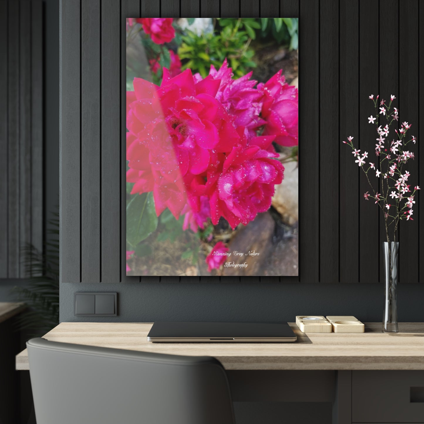 Red Roses Acrylic Prints