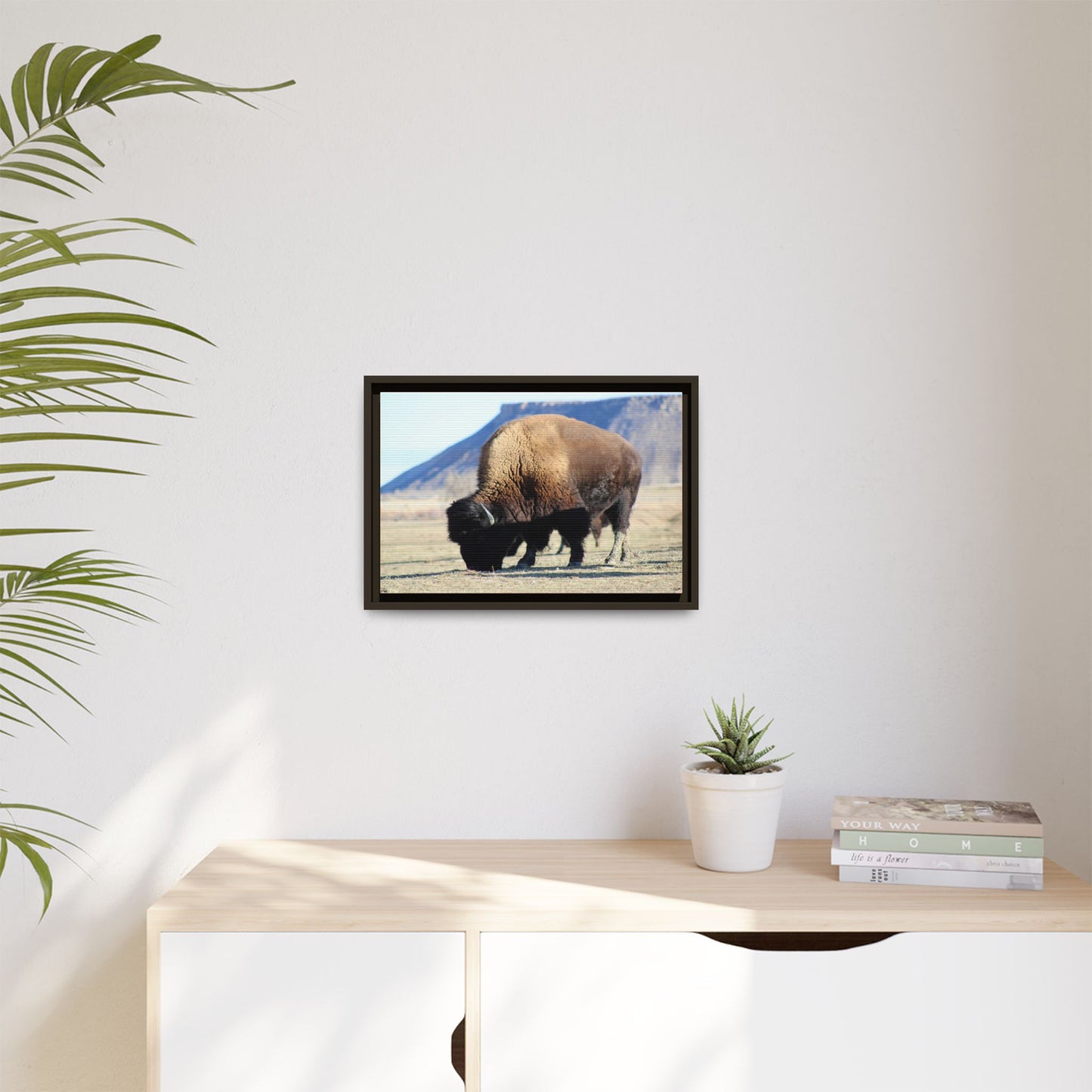 Big Daddy Buffalo Framed Canvas