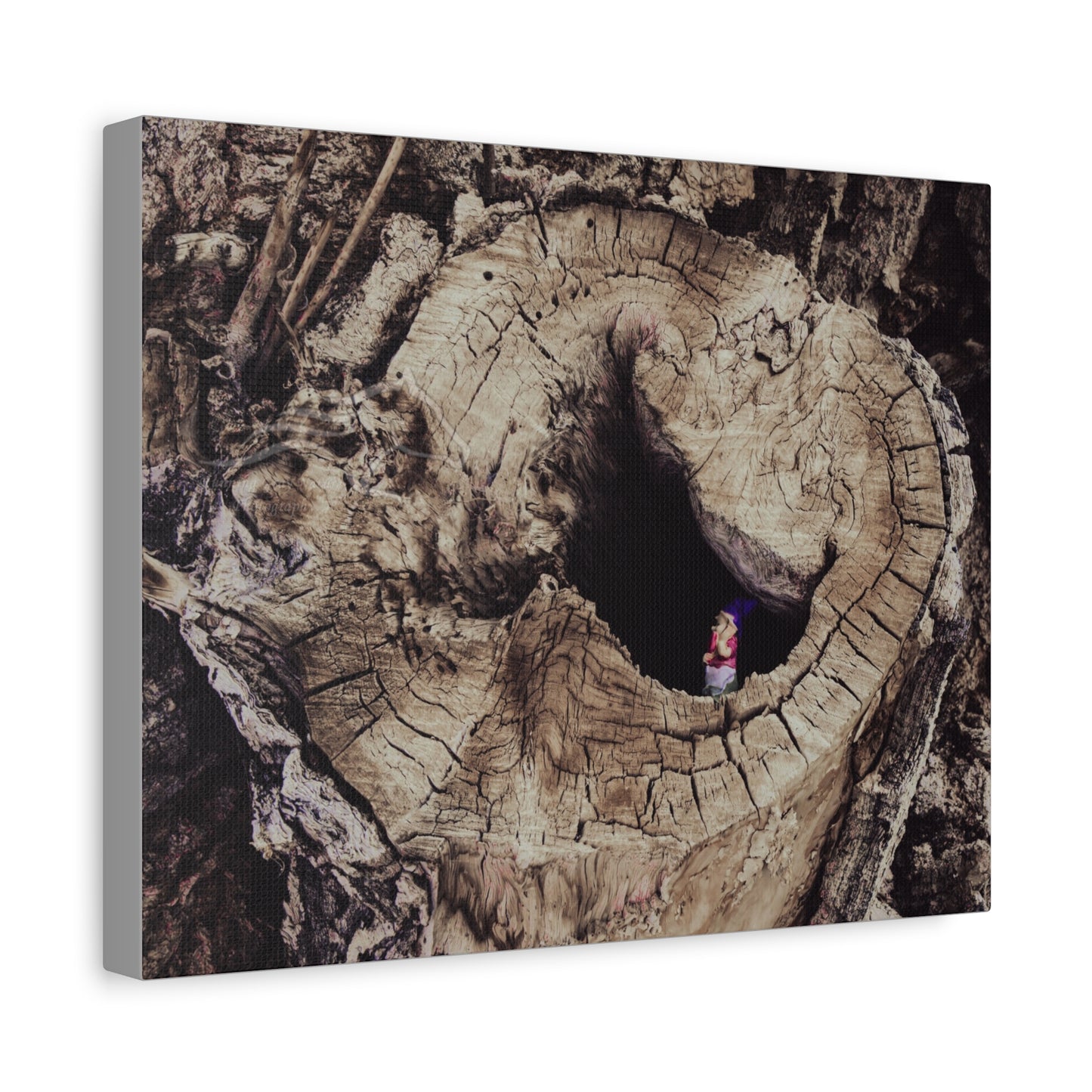 Fairy in a Tree Canvas