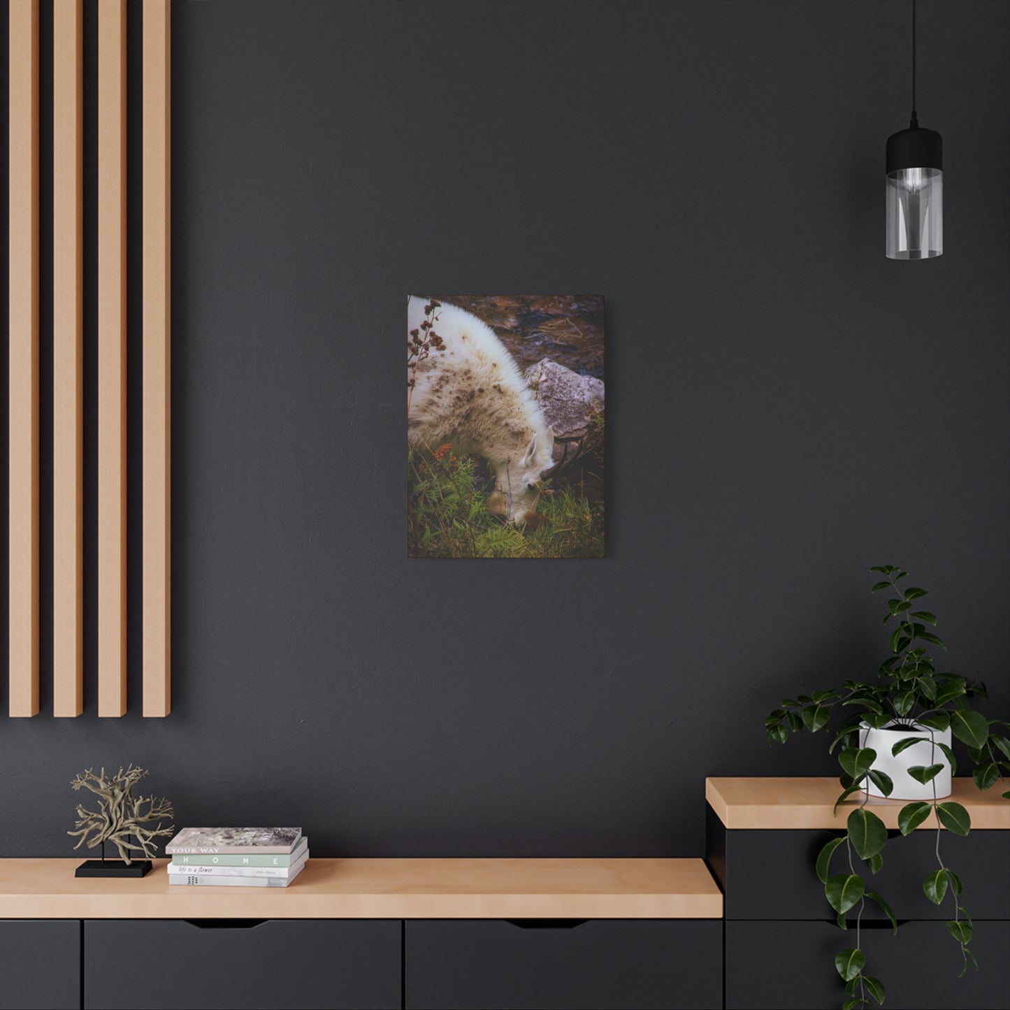 Mountain Goat Canvas
