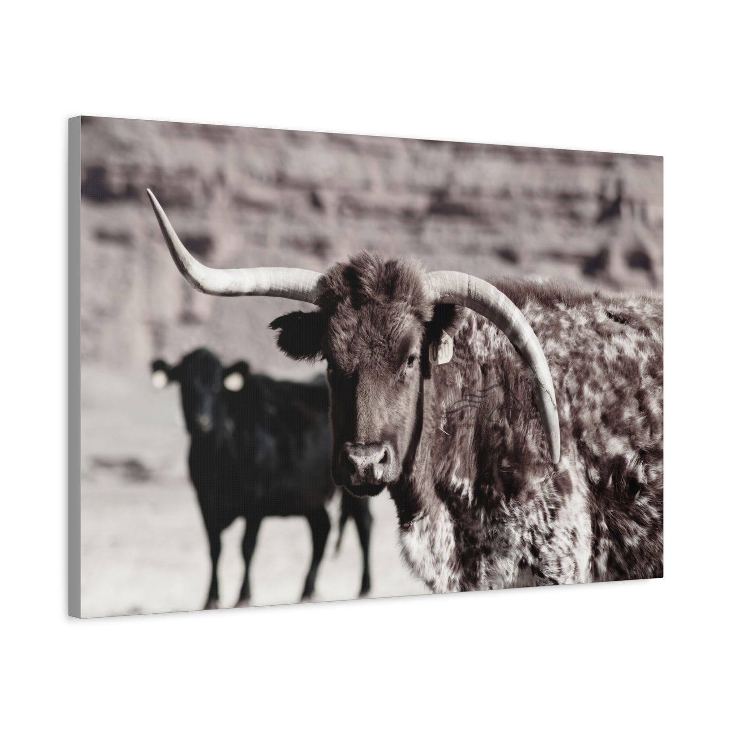Rustic Longhorn Canvas