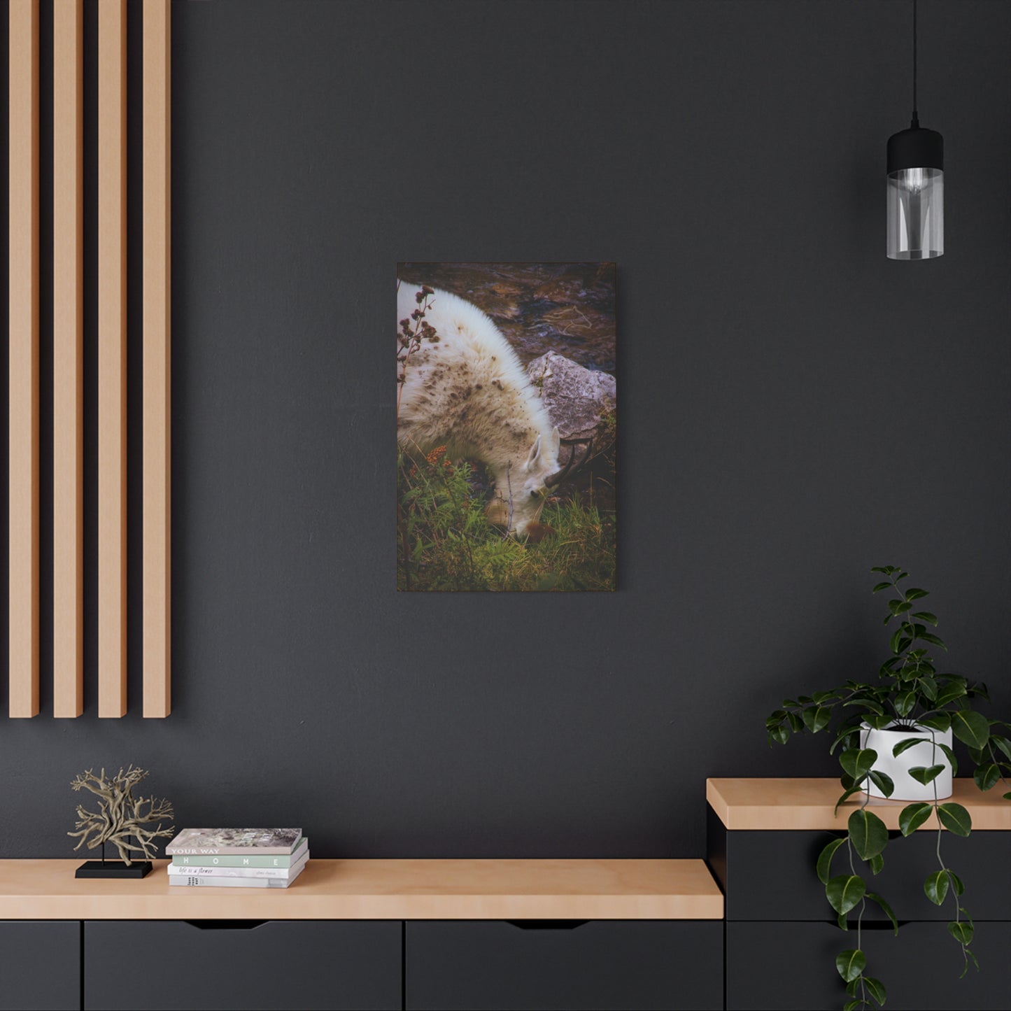 Mountain Goat Canvas