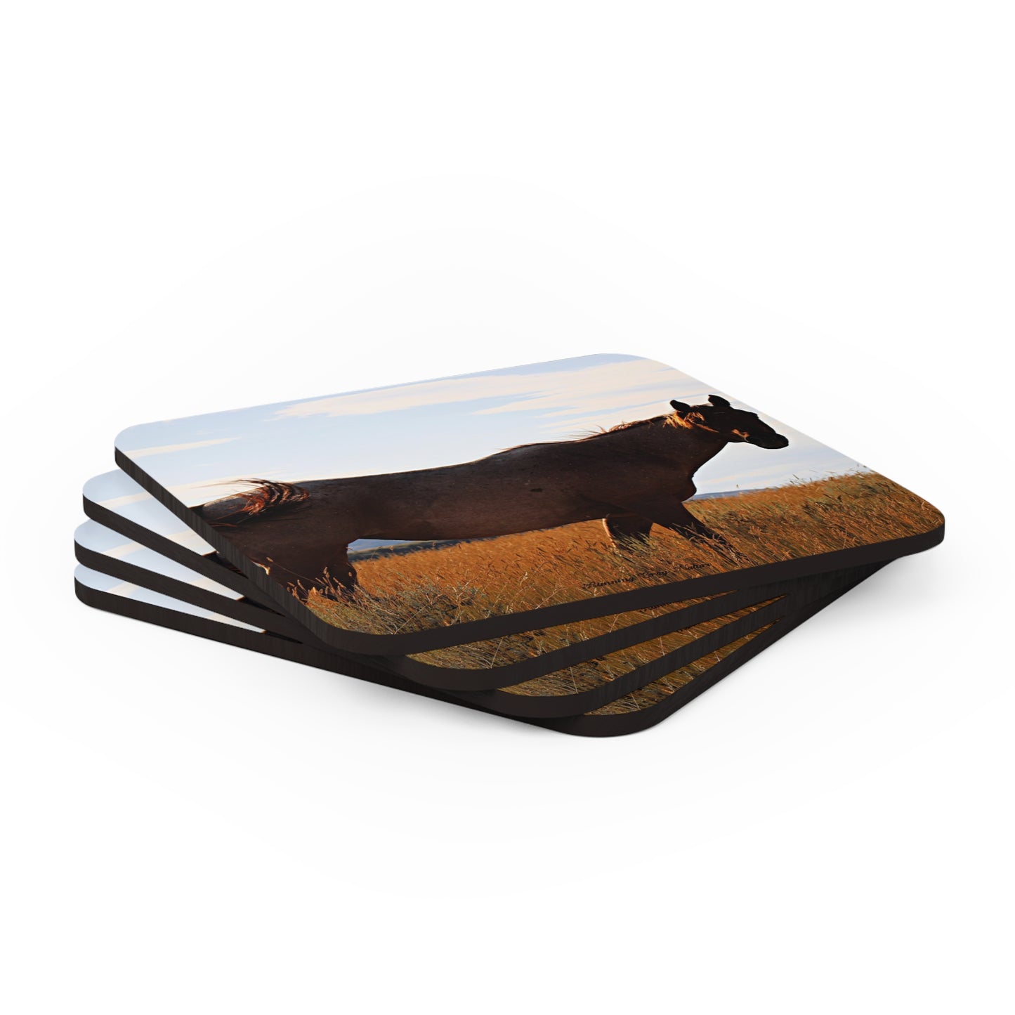 Fly Flicker Corkwood Coaster Set