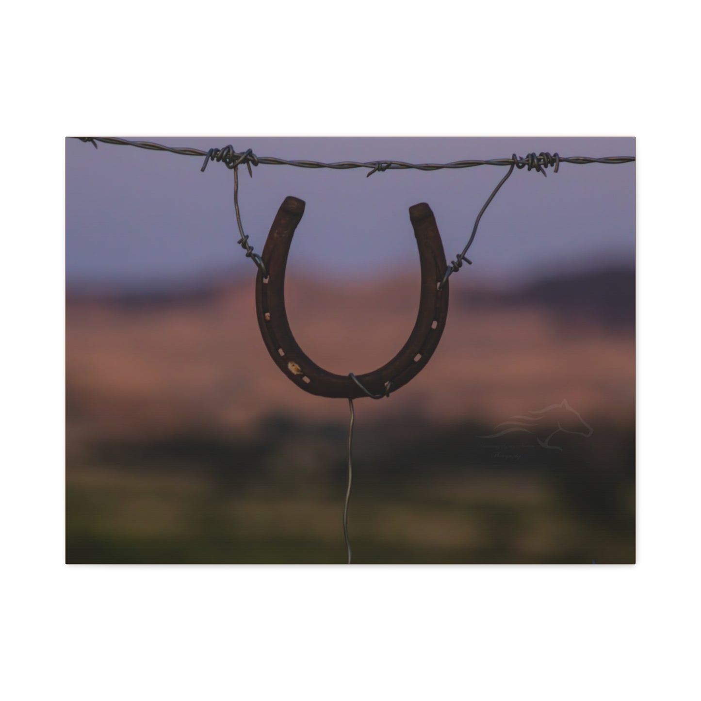 Rustic Horseshoe Canvas