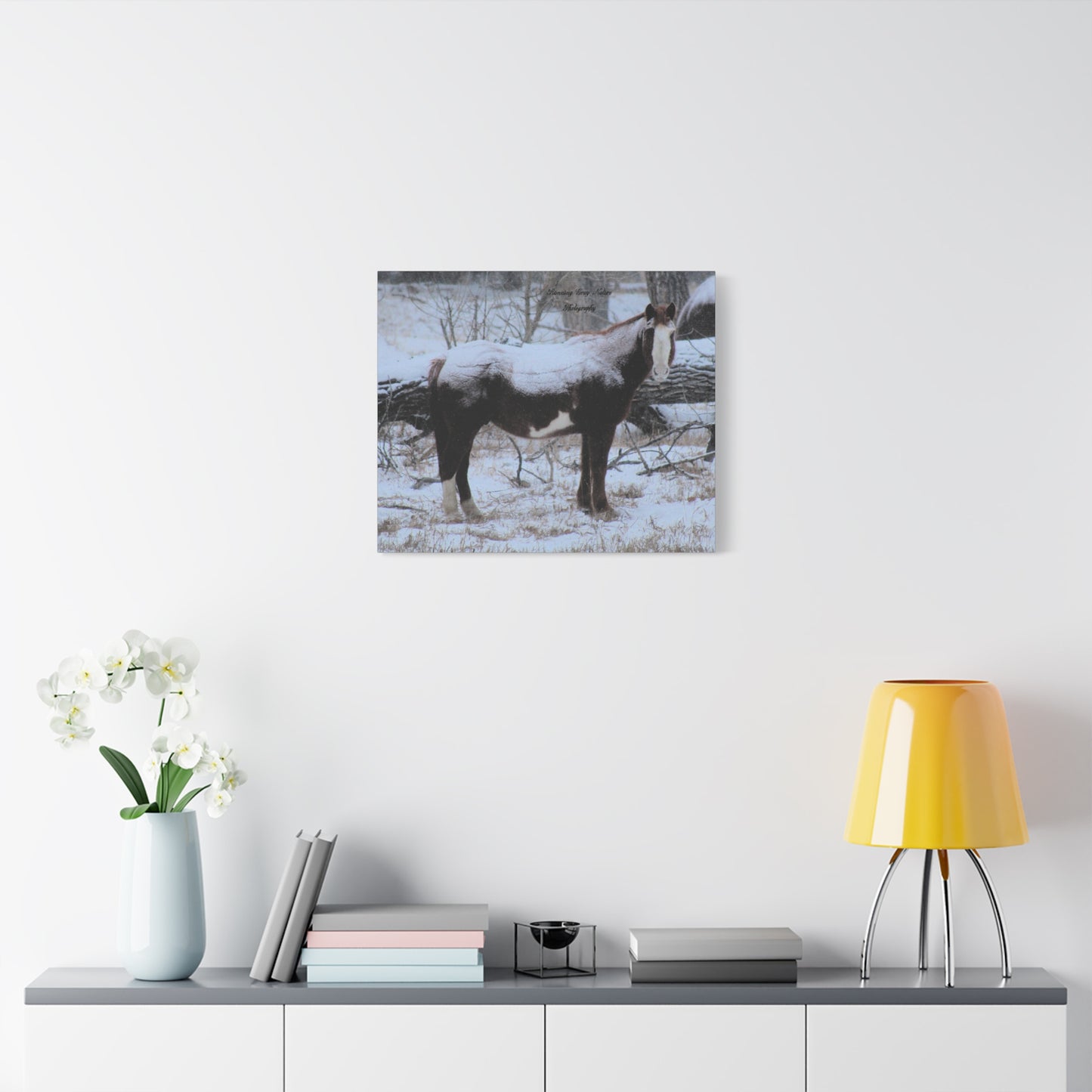 Snow Blanket Horse Matte Canvas, Stretched, 1.25"