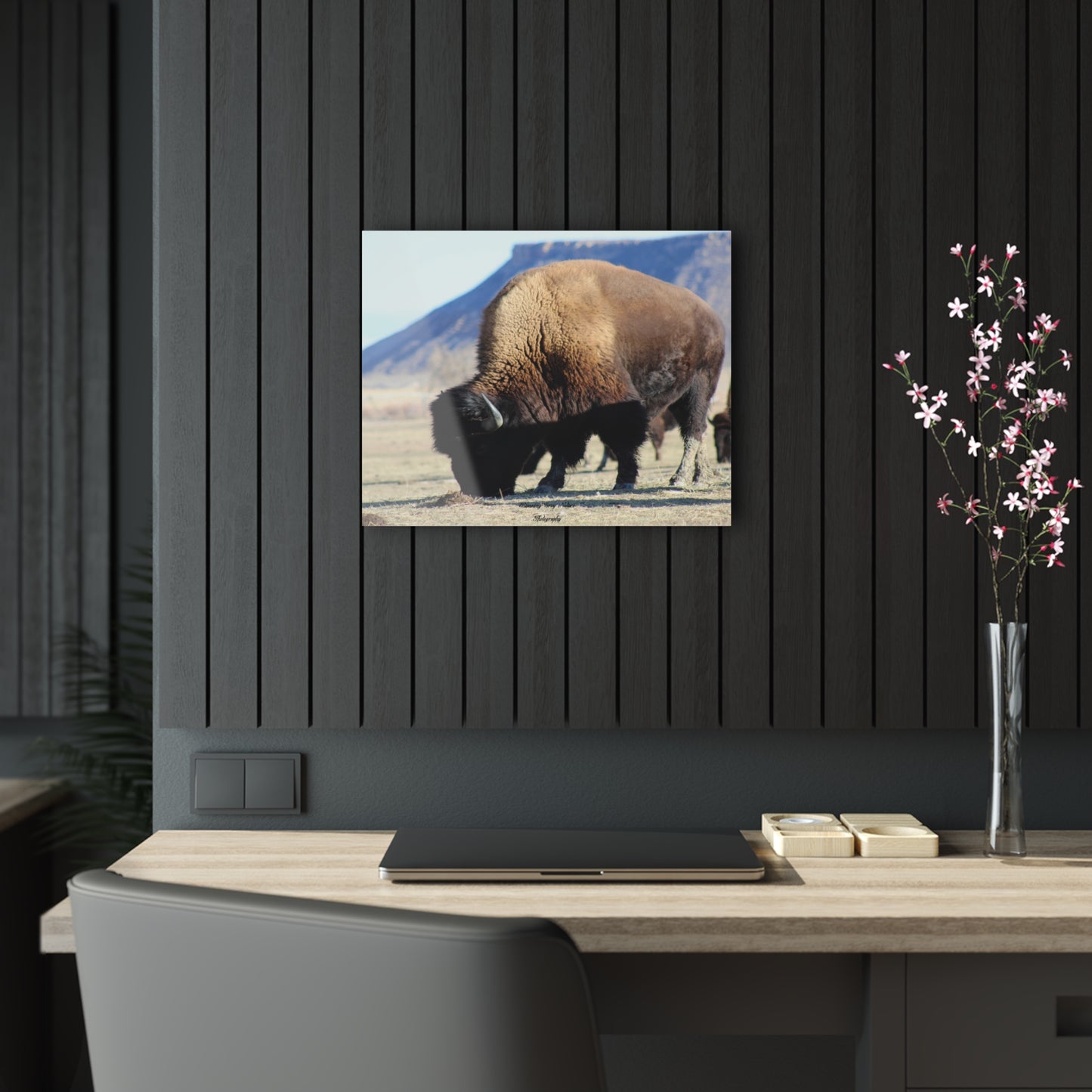 Big Daddy Buffalo Acrylic Prints