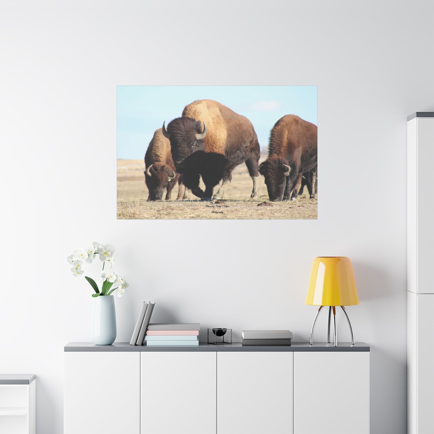 Buffalo Herd Matte Canvas, Stretched, 1.25"