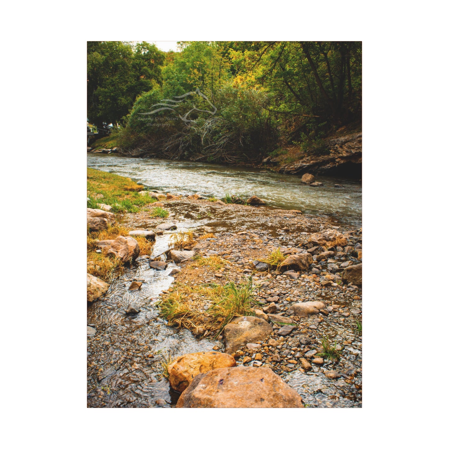 By the Water Ayres Natural Bridge Canvas