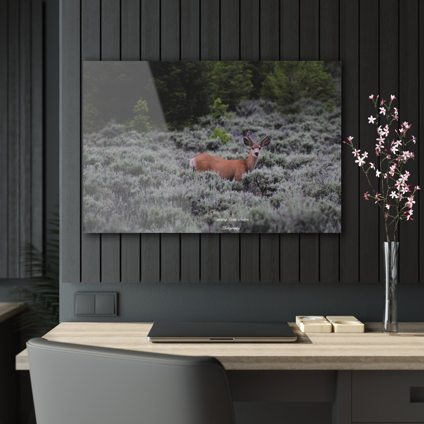 Wyoming Deer Acrylic Prints