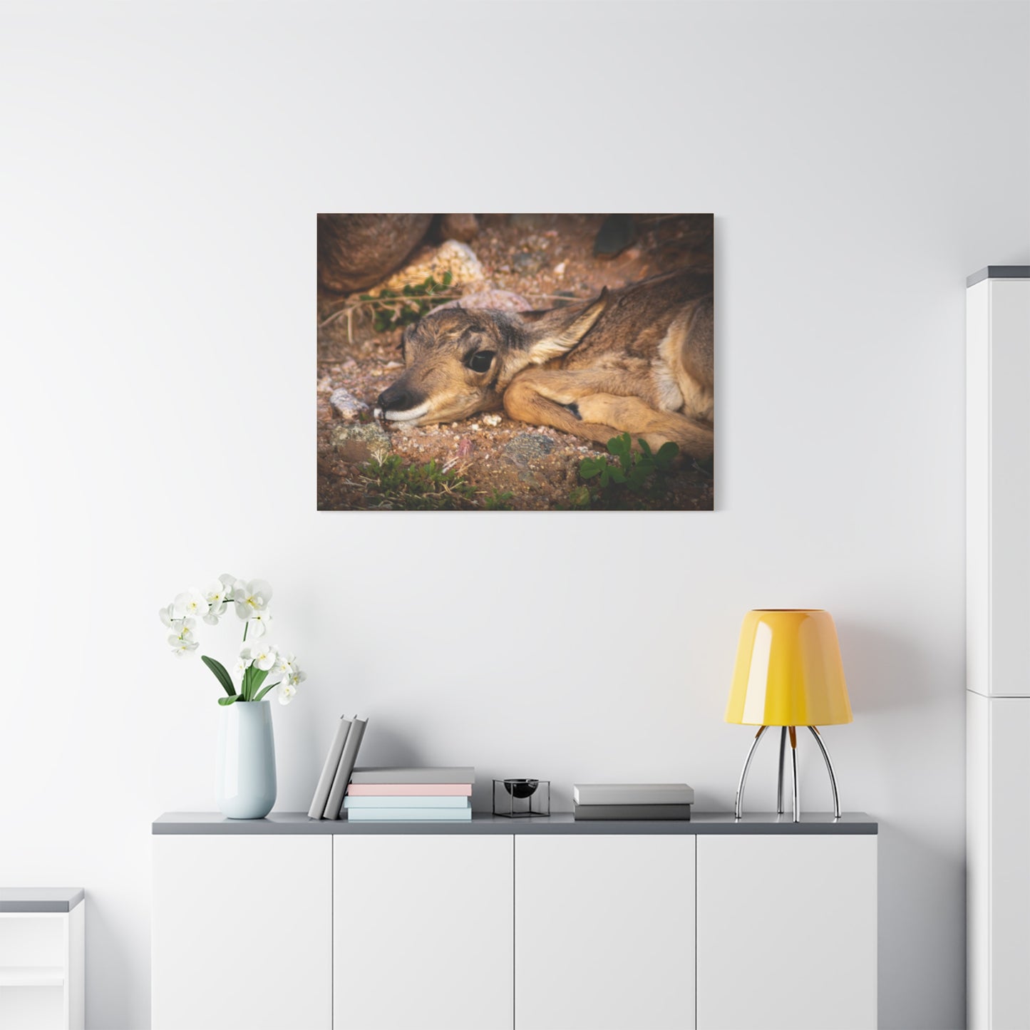 Baby Antelope Canvas