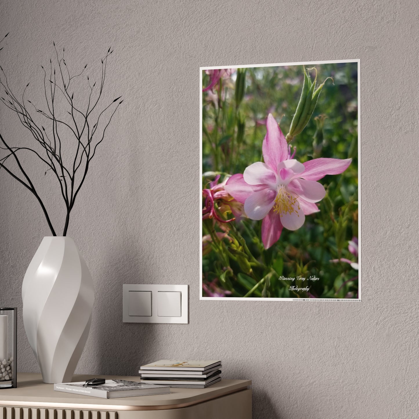 Posters Board Pink Columbine