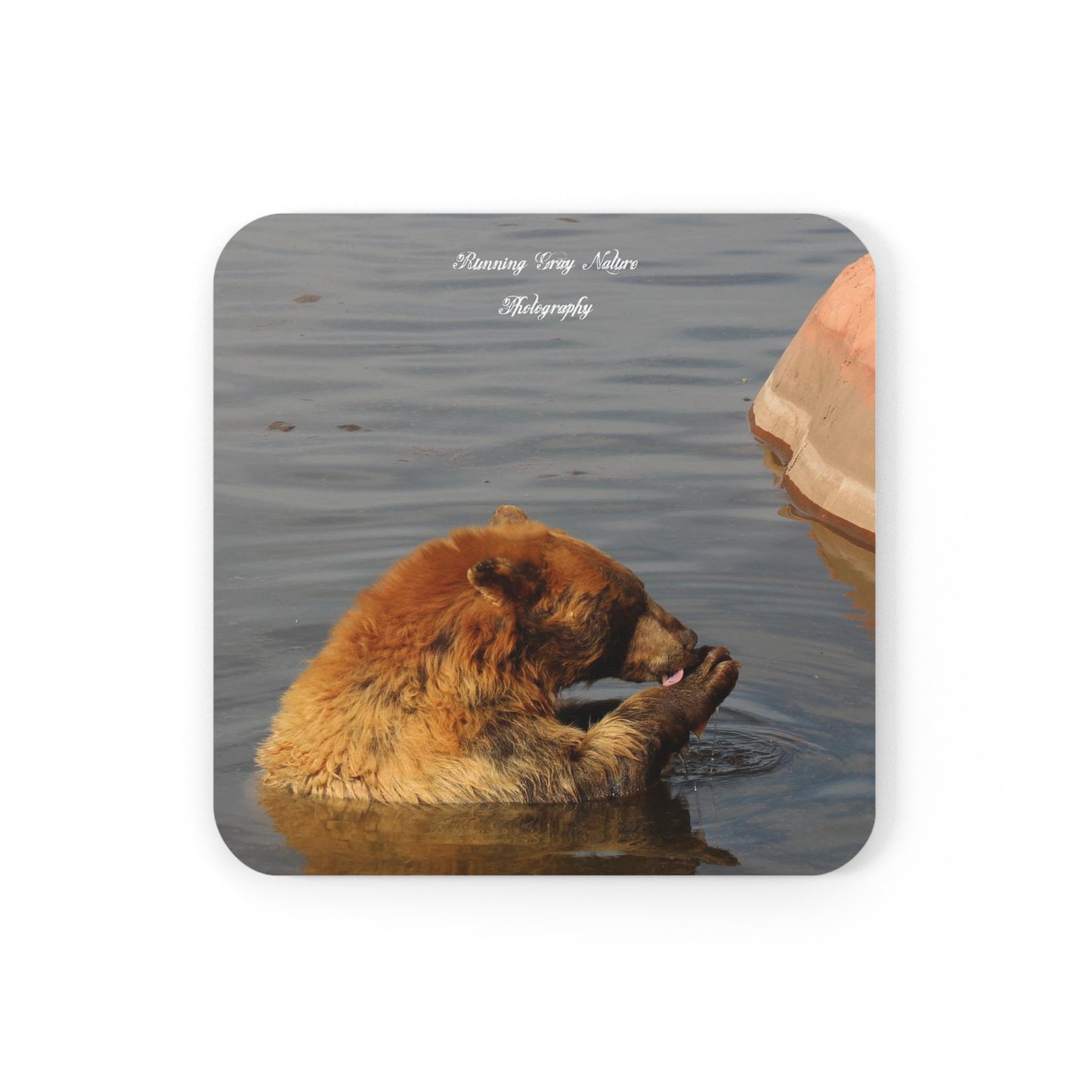 Bear in the Water Corkwood Coaster Set