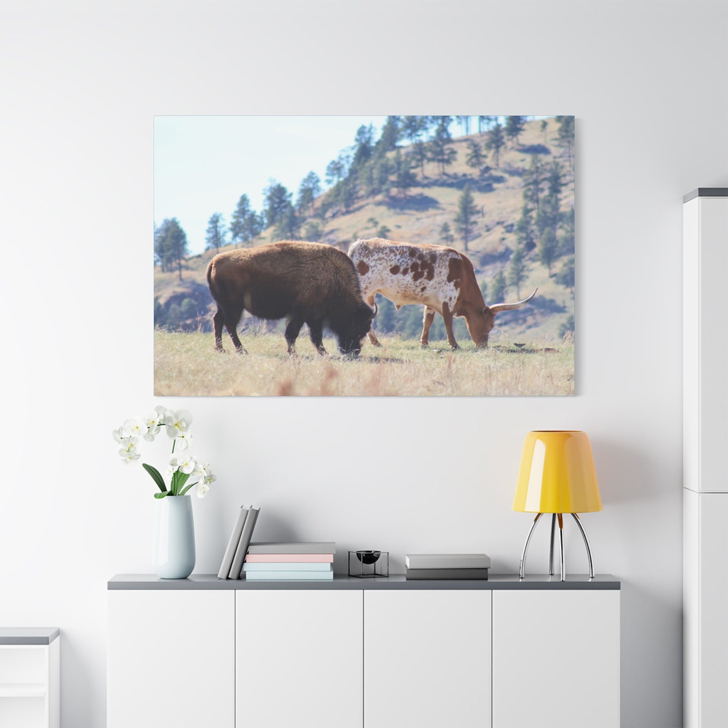 Long Horn and Buffalo Canvas