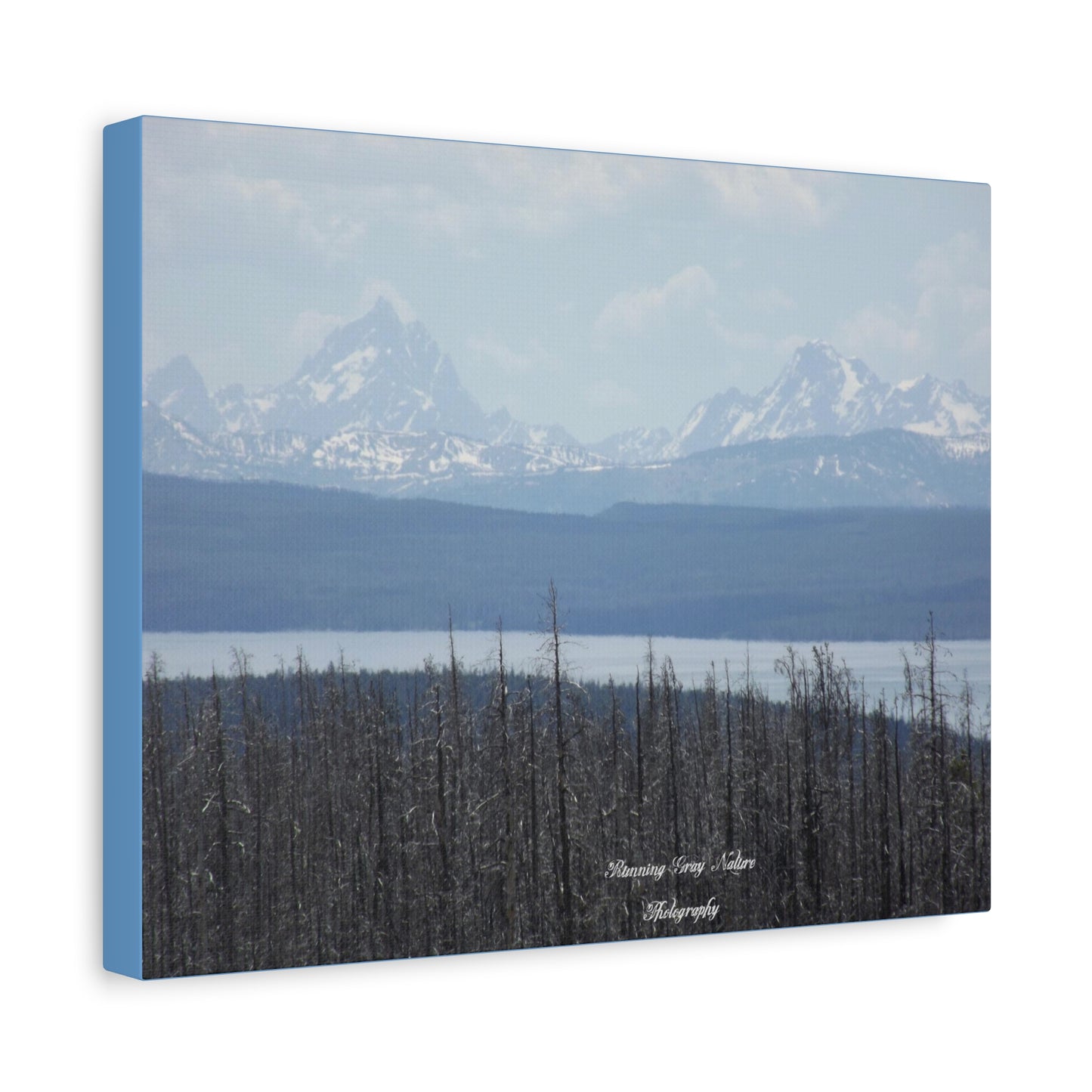 Teton Range Matte Canvas, Stretched, 1.25"