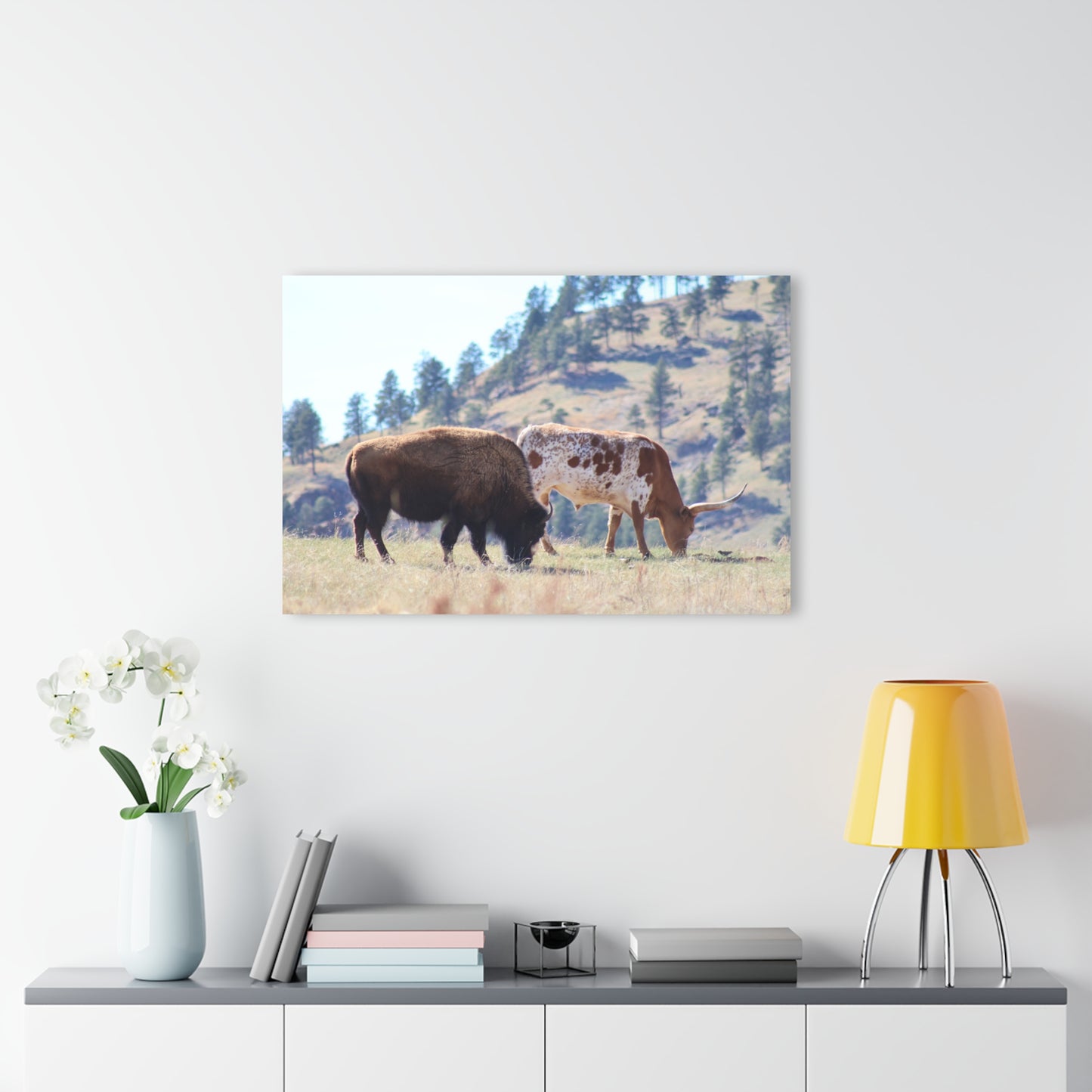 Long Horn and Buffalo Acrylic
