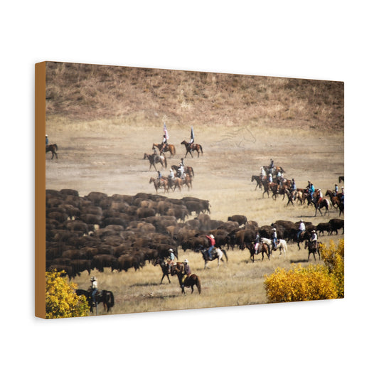 Cowboys and Buffalos Canvas