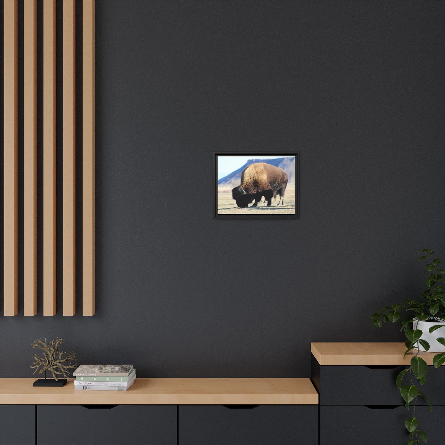 Big Daddy Buffalo Framed Canvas