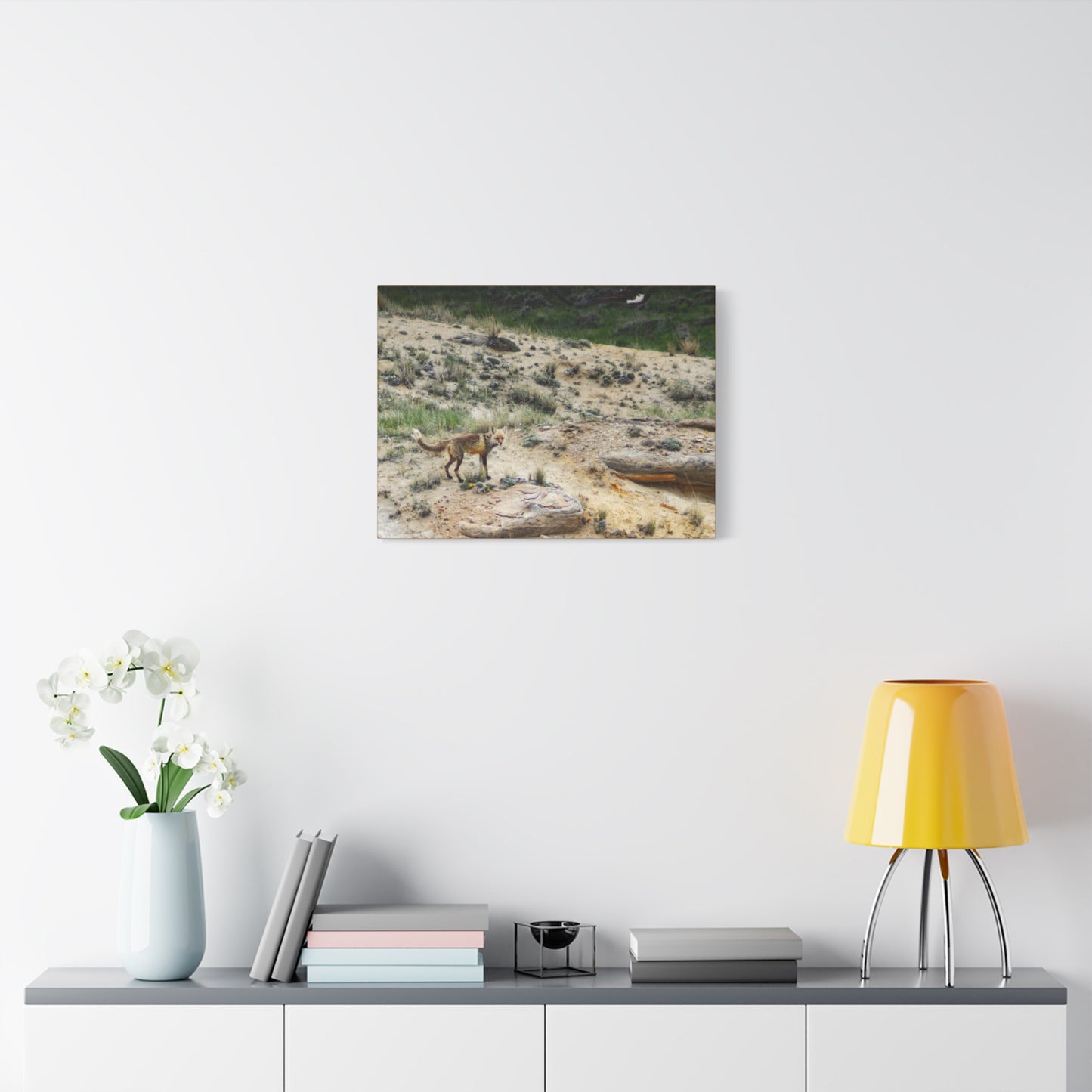 Swift fox and an Eagle