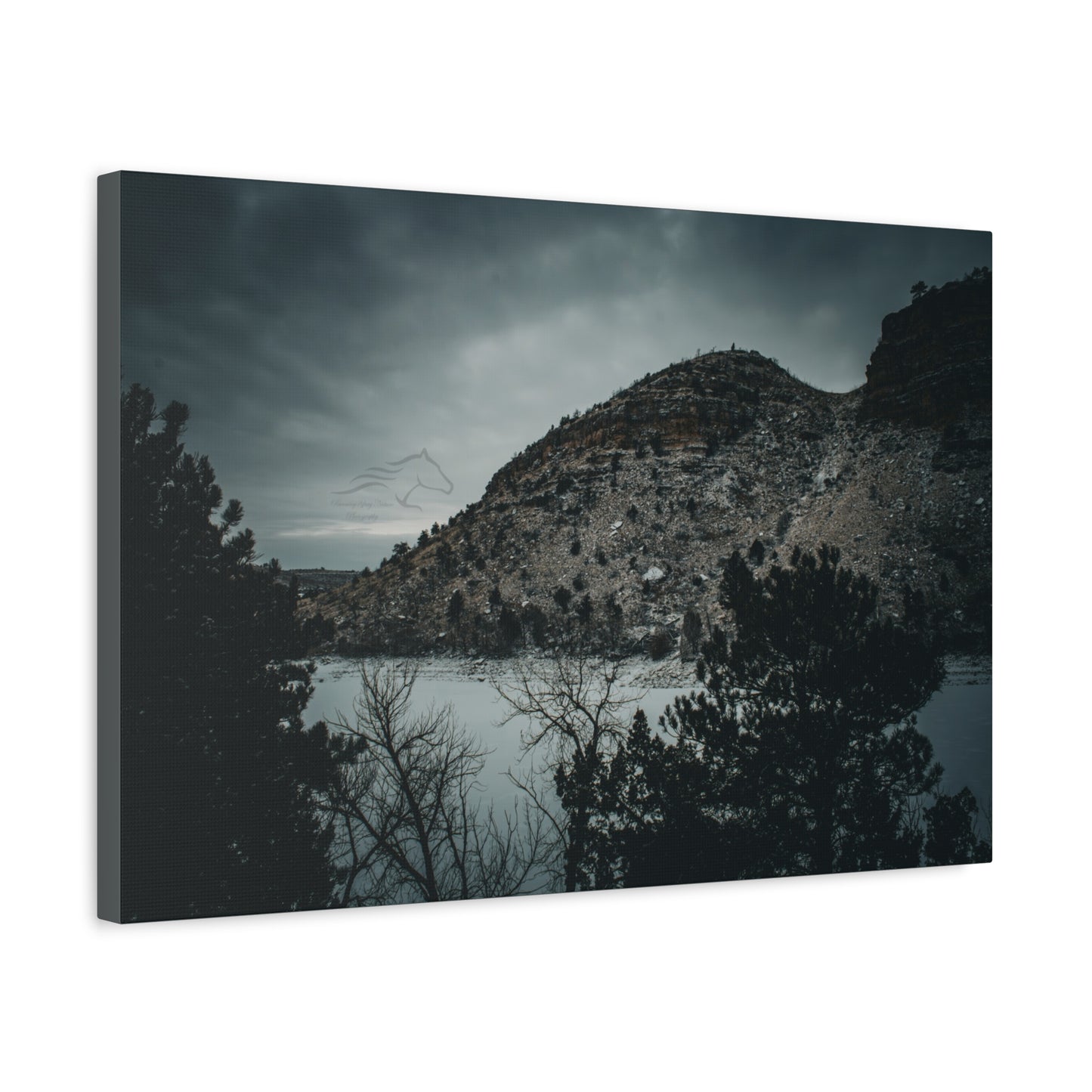 Moody Landscape Canvas