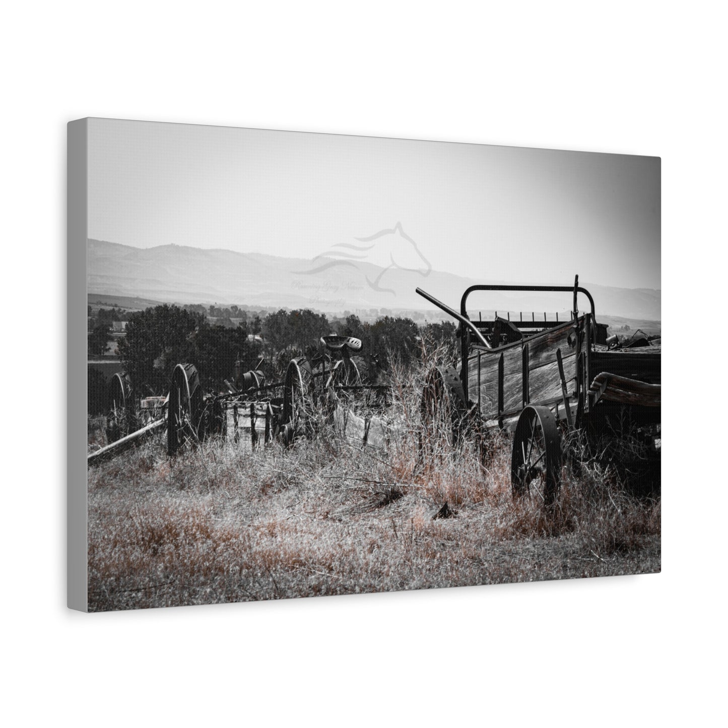 Rustic Black and White Wagon Canvas
