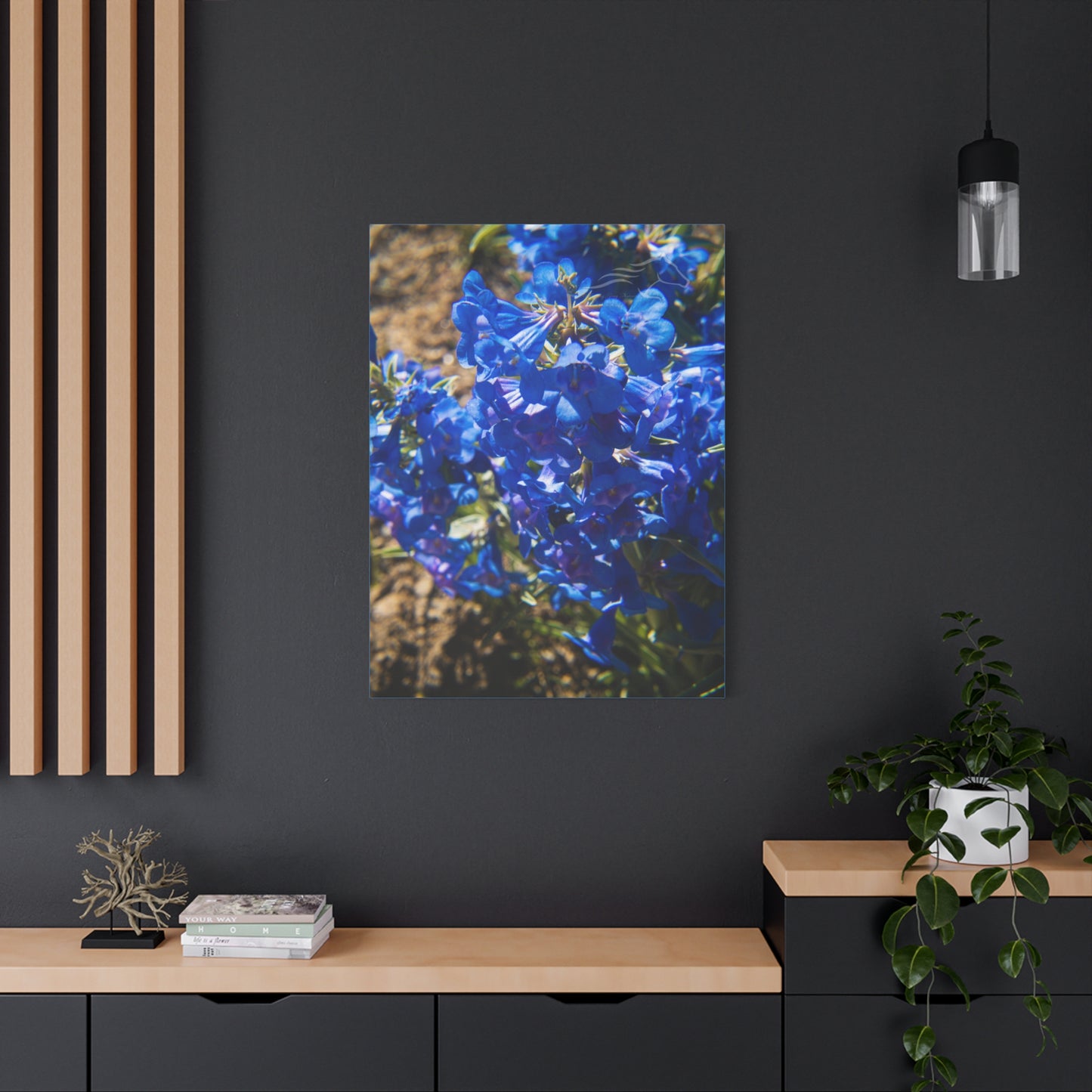 Rocky Mountain Beardtongue Canvas