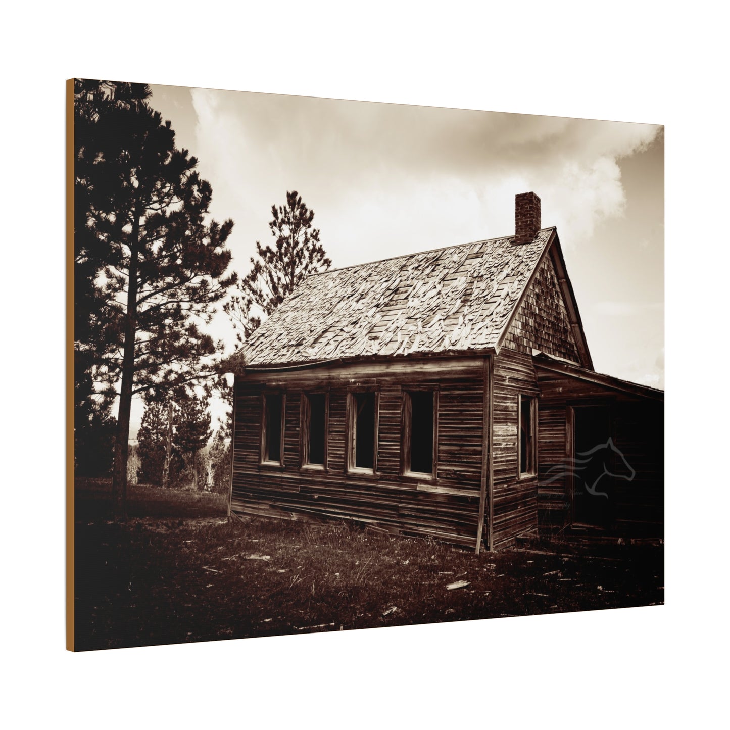 Rustic Bunk House Canvas