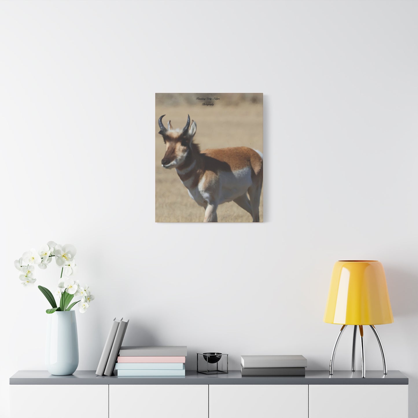 Wyoming Pronghorn Matte Canvas, Stretched, 1.25"