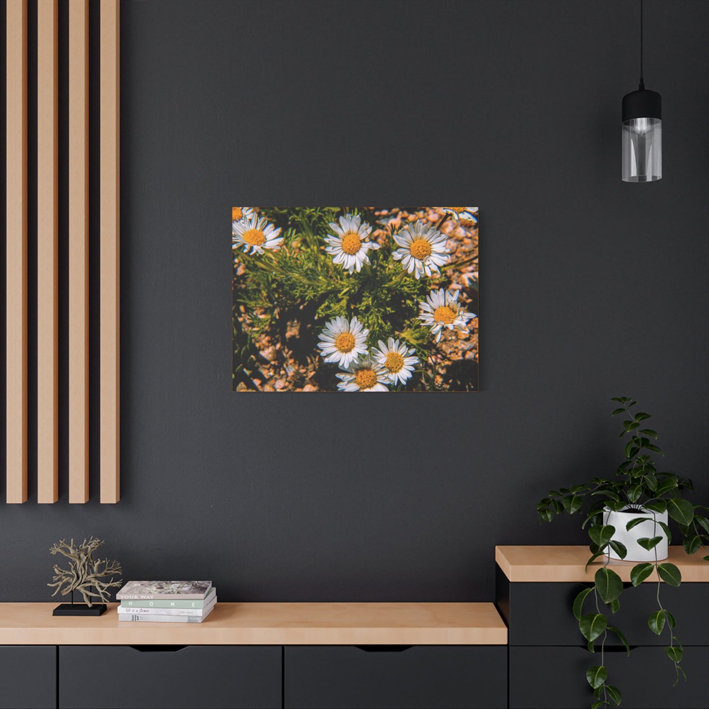 Wild Daisy Canvas