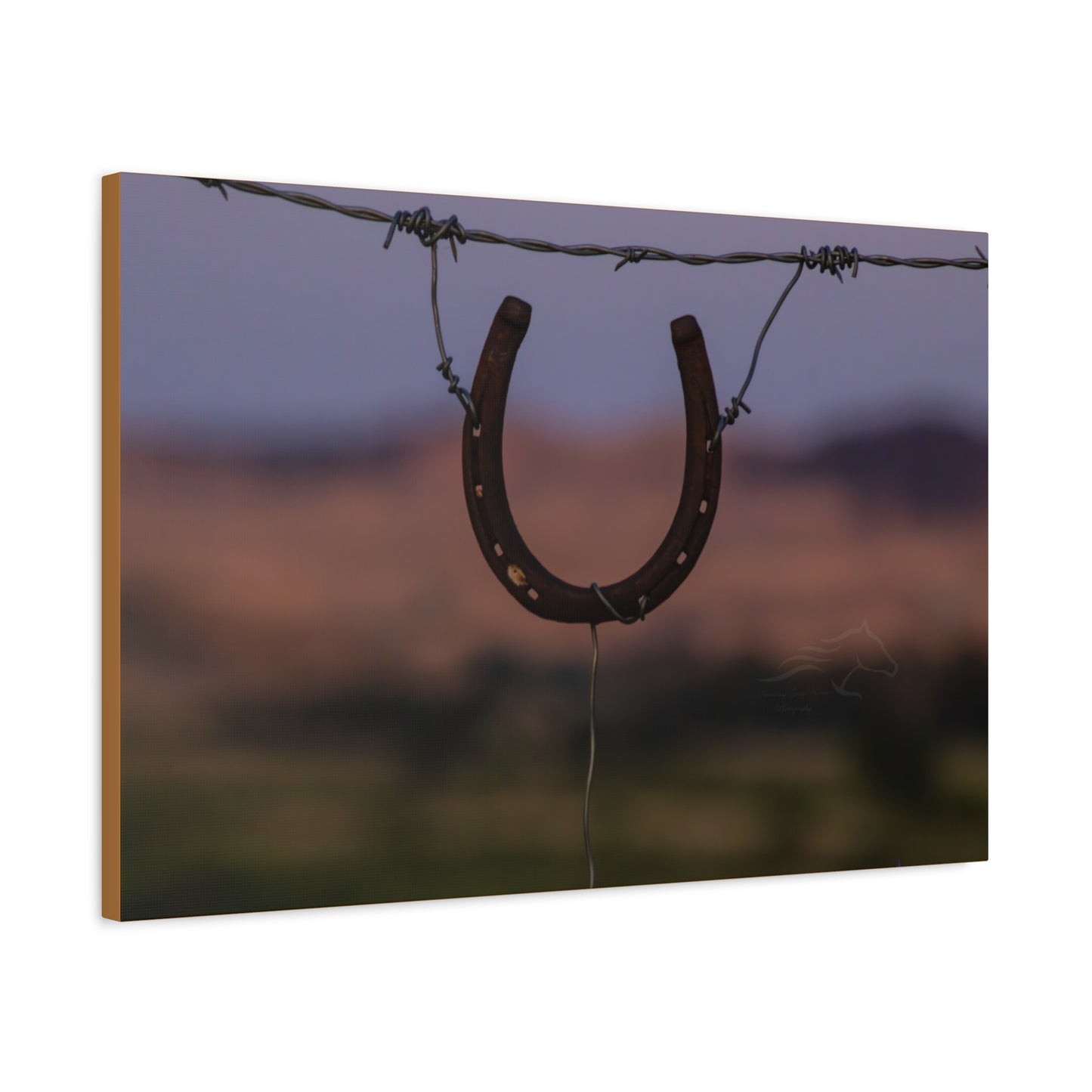 Rustic Horseshoe Canvas
