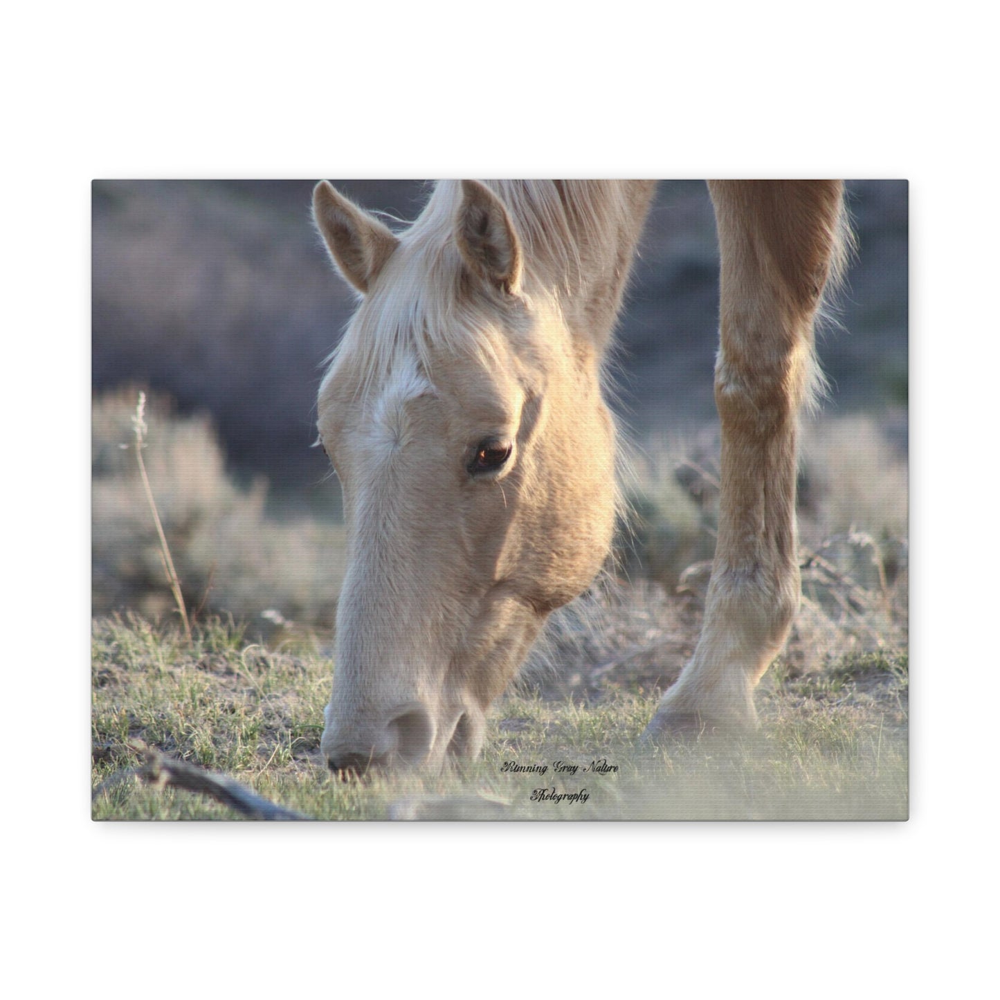 Beautiful Blonde Matte Canvas, Stretched, 1.25"