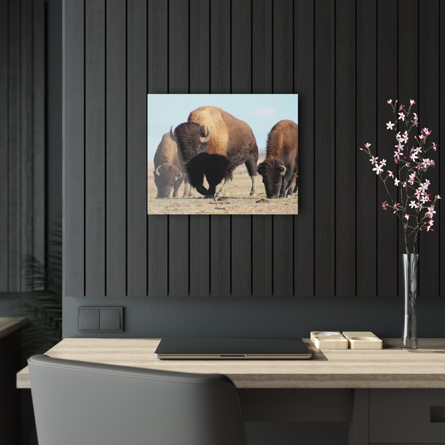 Buffalo Herd Acrylic Prints