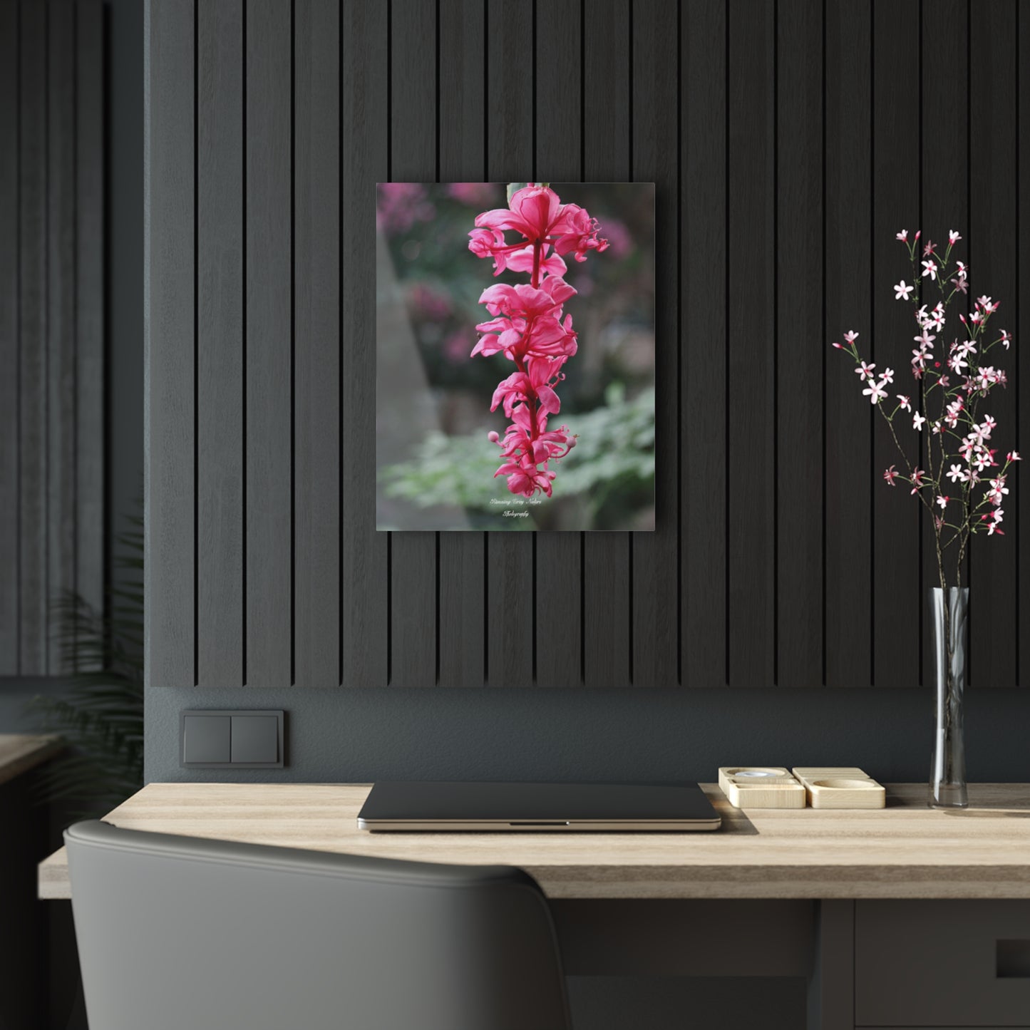 Showy Medinilla Acrylic Prints