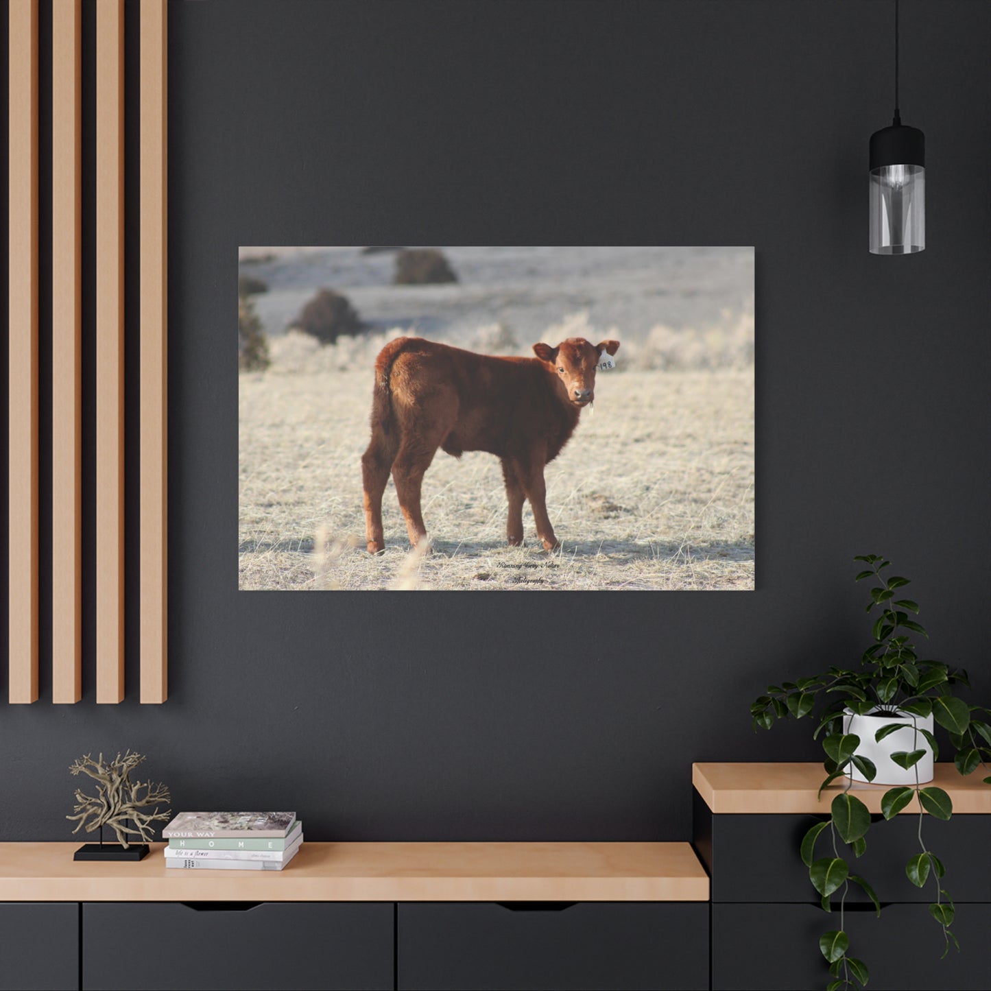 Baby Calf 198 Matte Canvas, Stretched, 1.25"