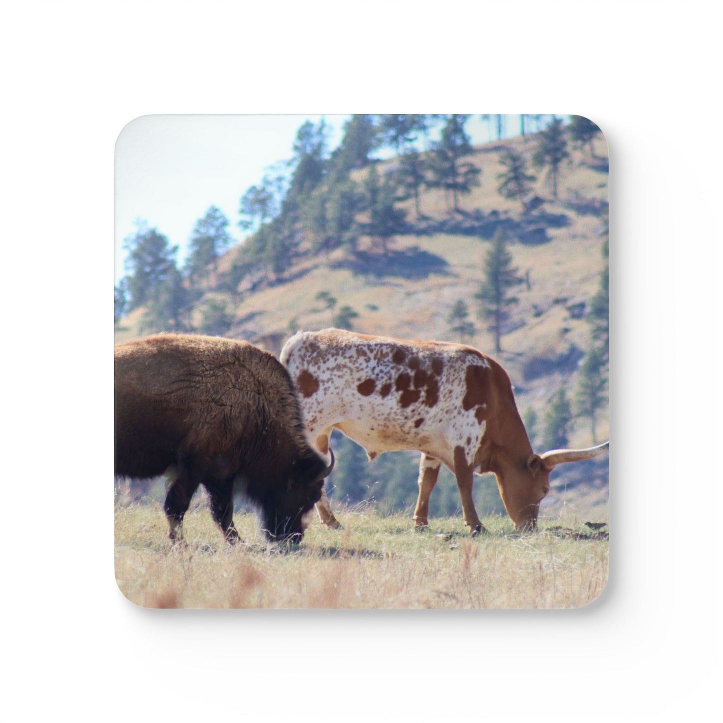 Buffalo and Long Horn Corkwood Coaster Set