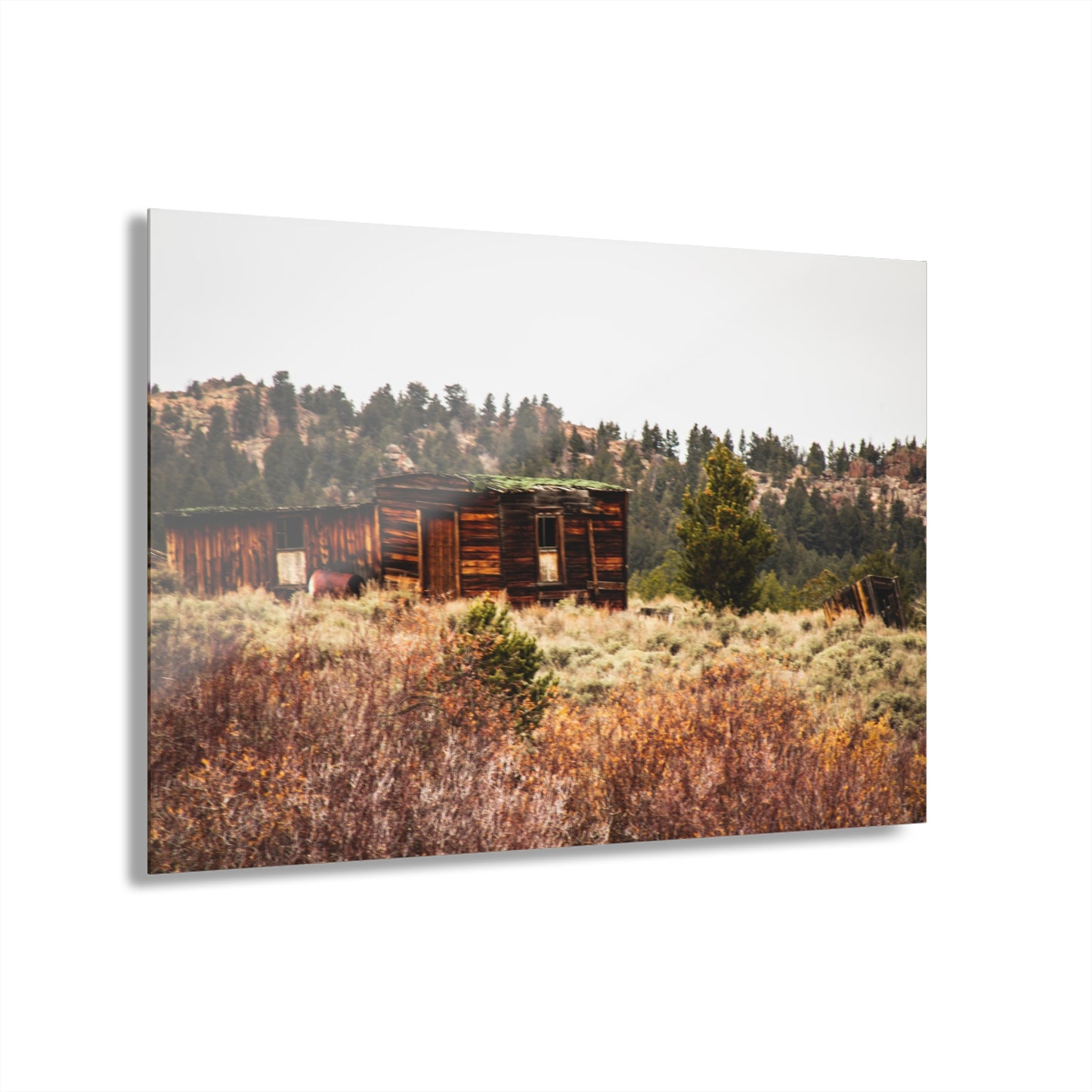 Rustic Landscape Acrylic