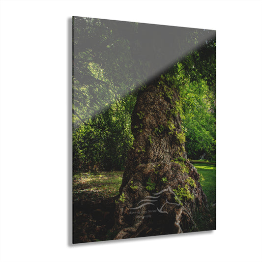 Natural Green Tree Acrylic