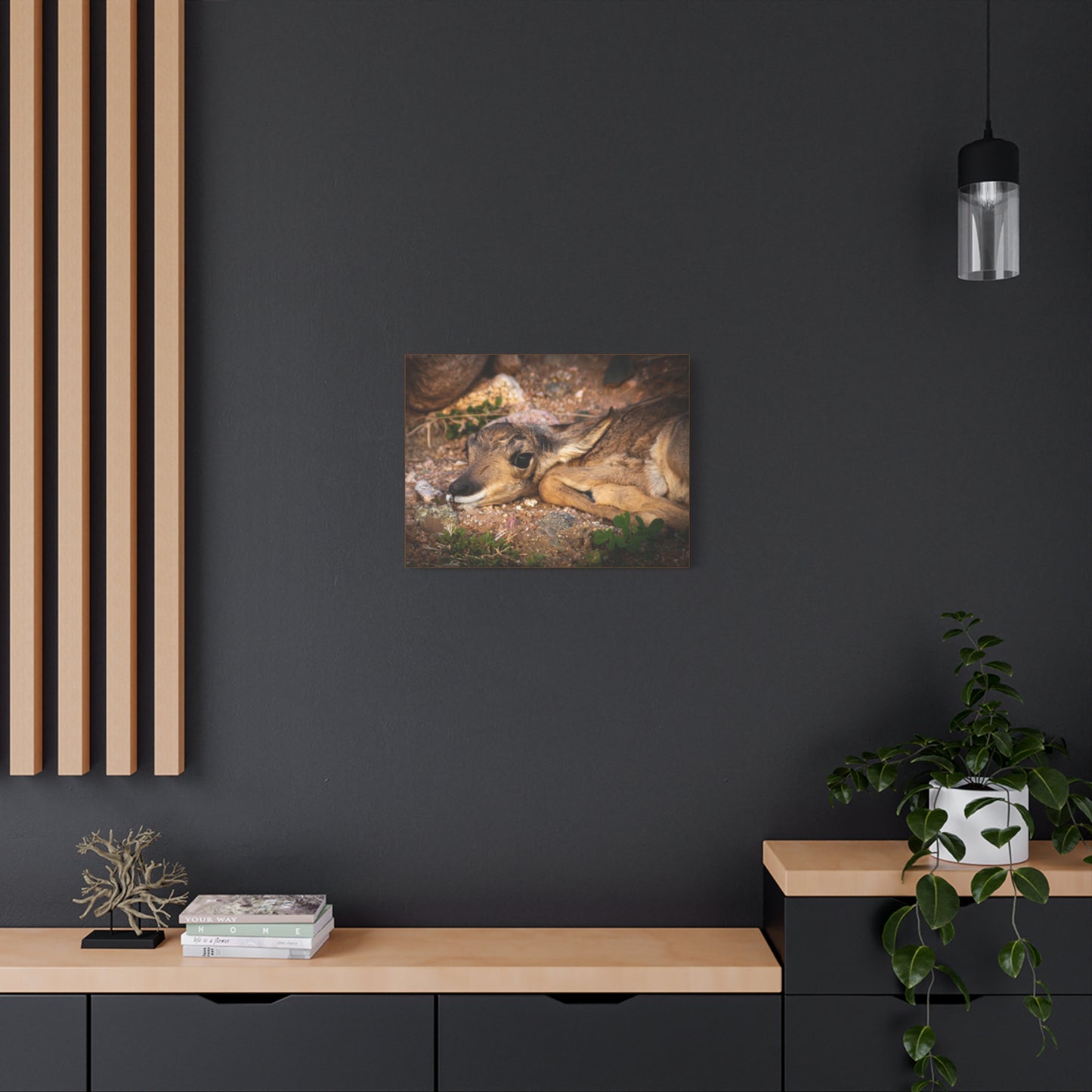 Baby Antelope Canvas