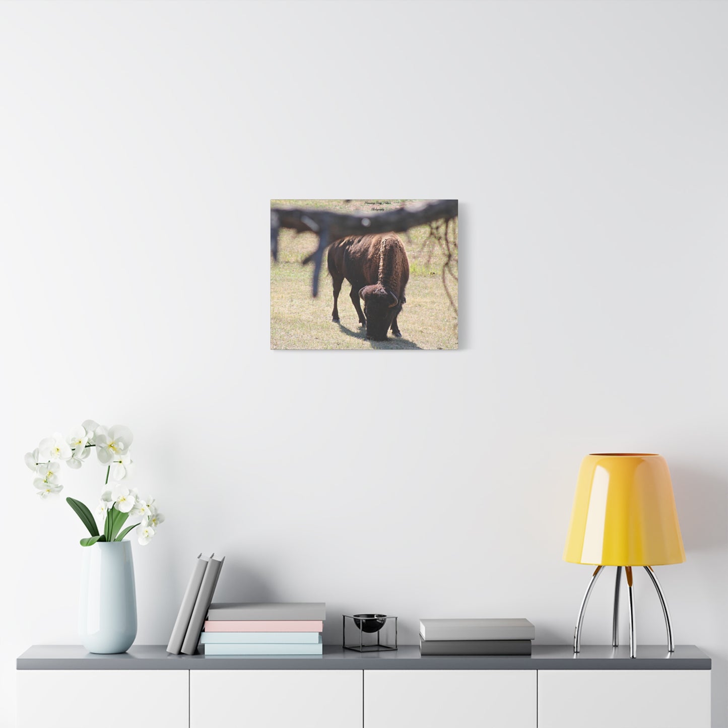 Buffalo Matte Canvas, Stretched, 1.25"