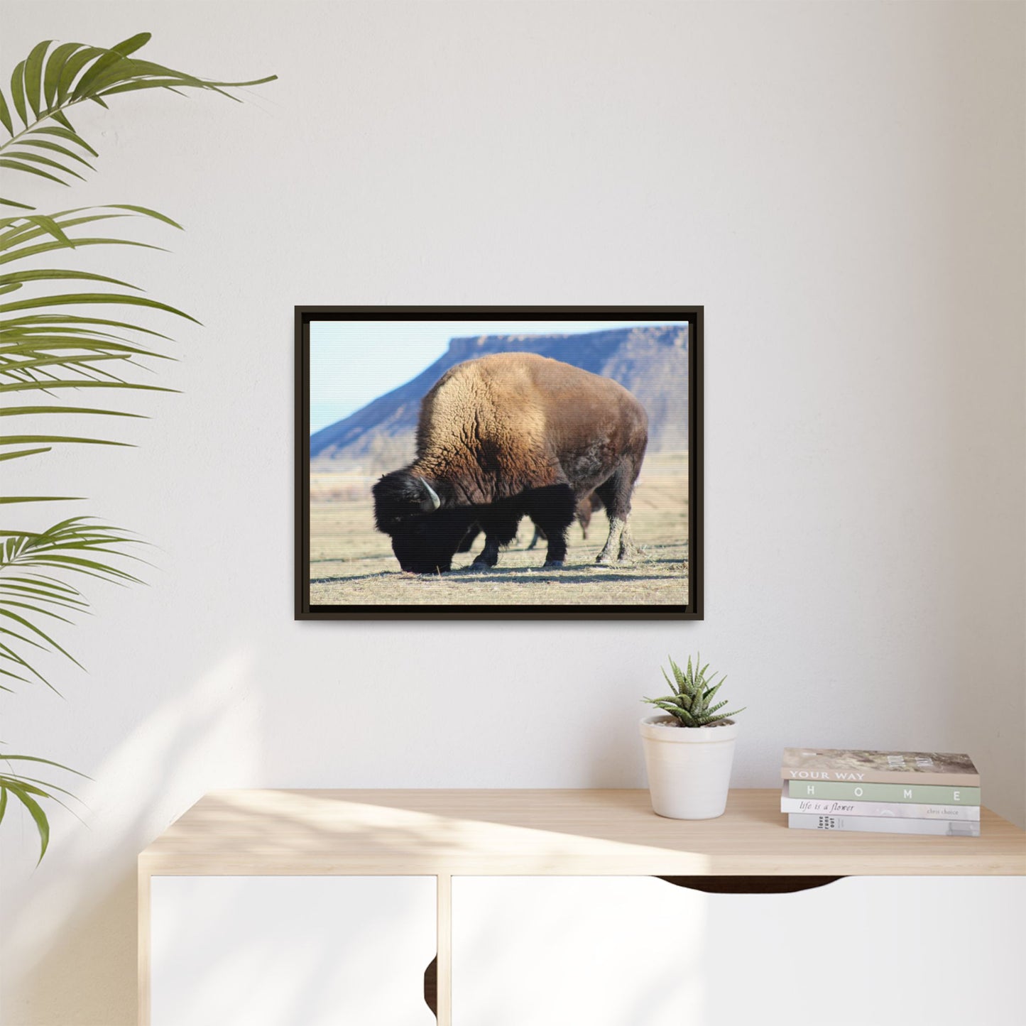 Big Daddy Buffalo Framed Canvas