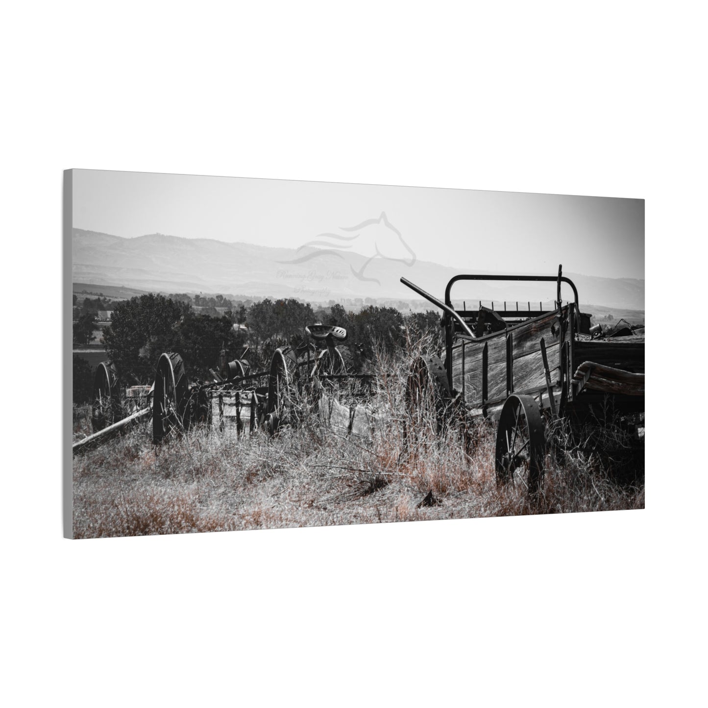 Rustic Black and White Wagon Canvas