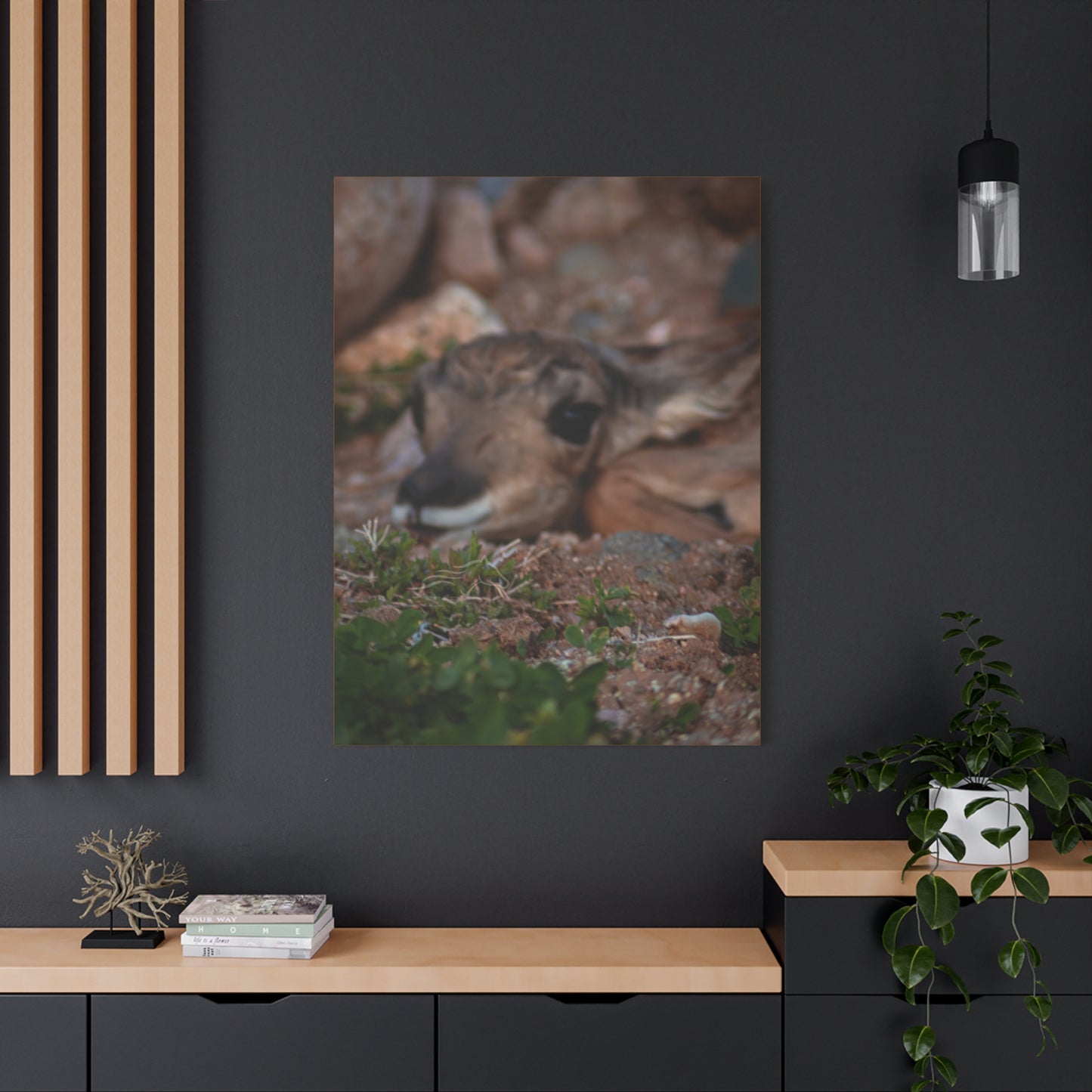 Gentle Antelope Fawn Canvas