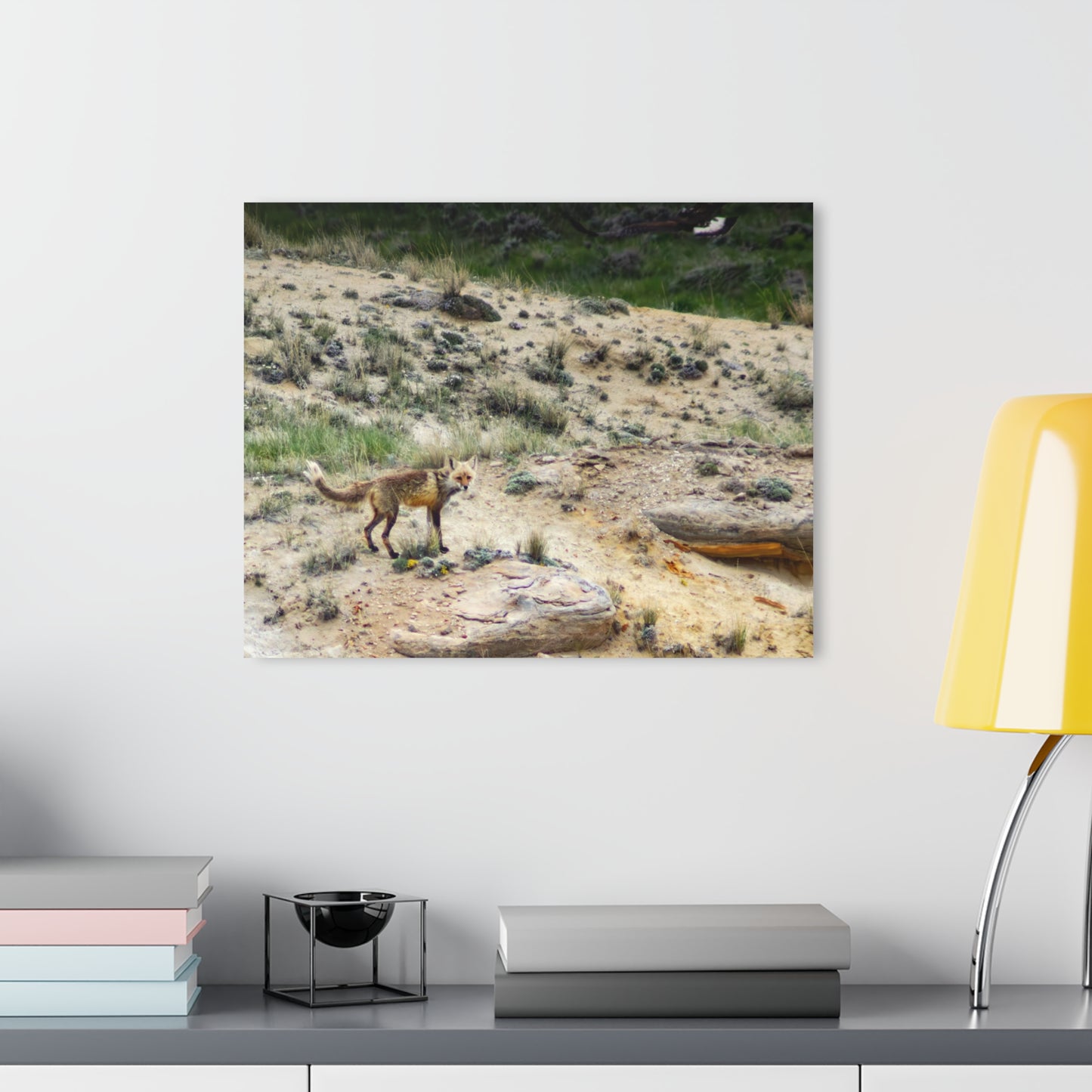 Swift Fox and an Eagle