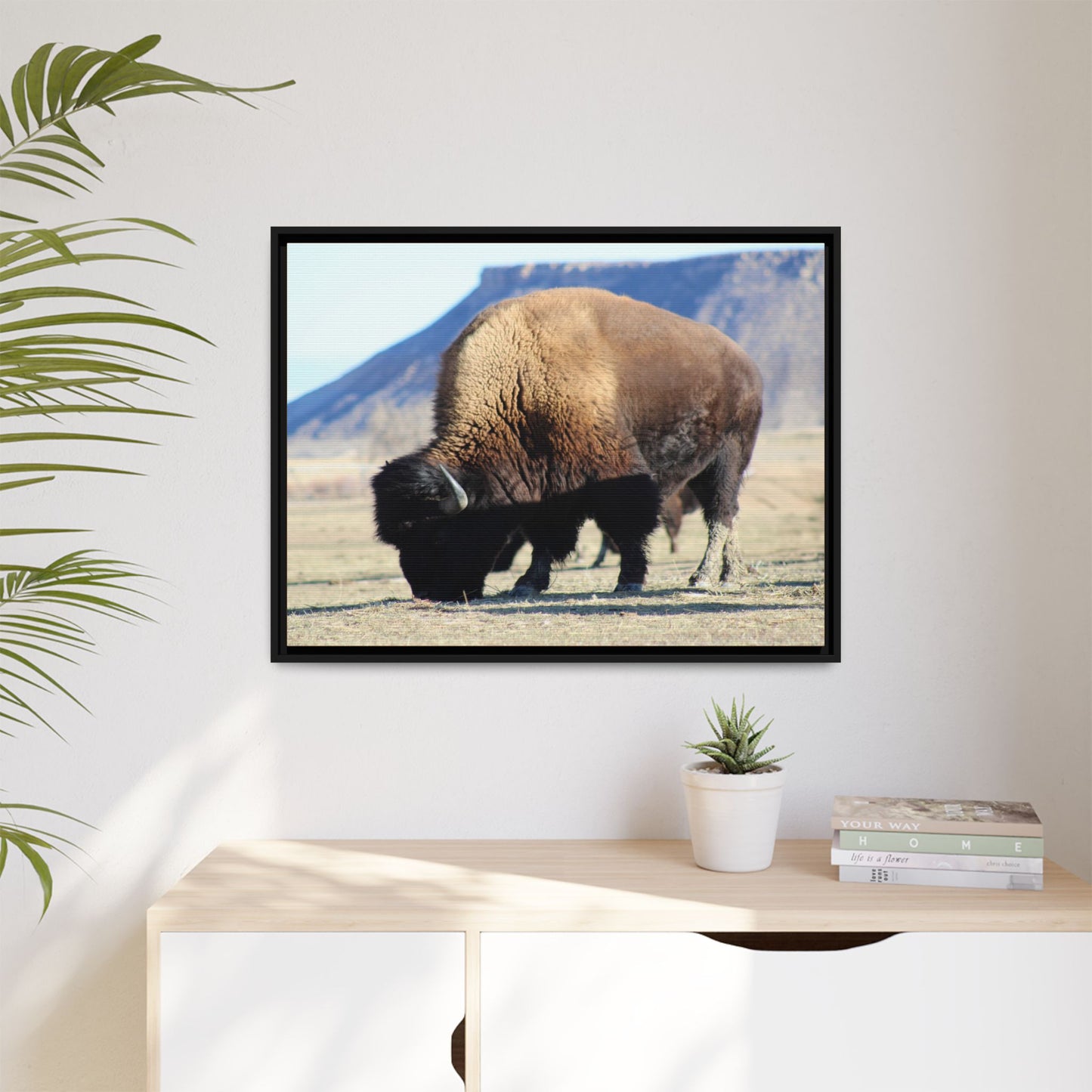 Big Daddy Buffalo Framed Canvas