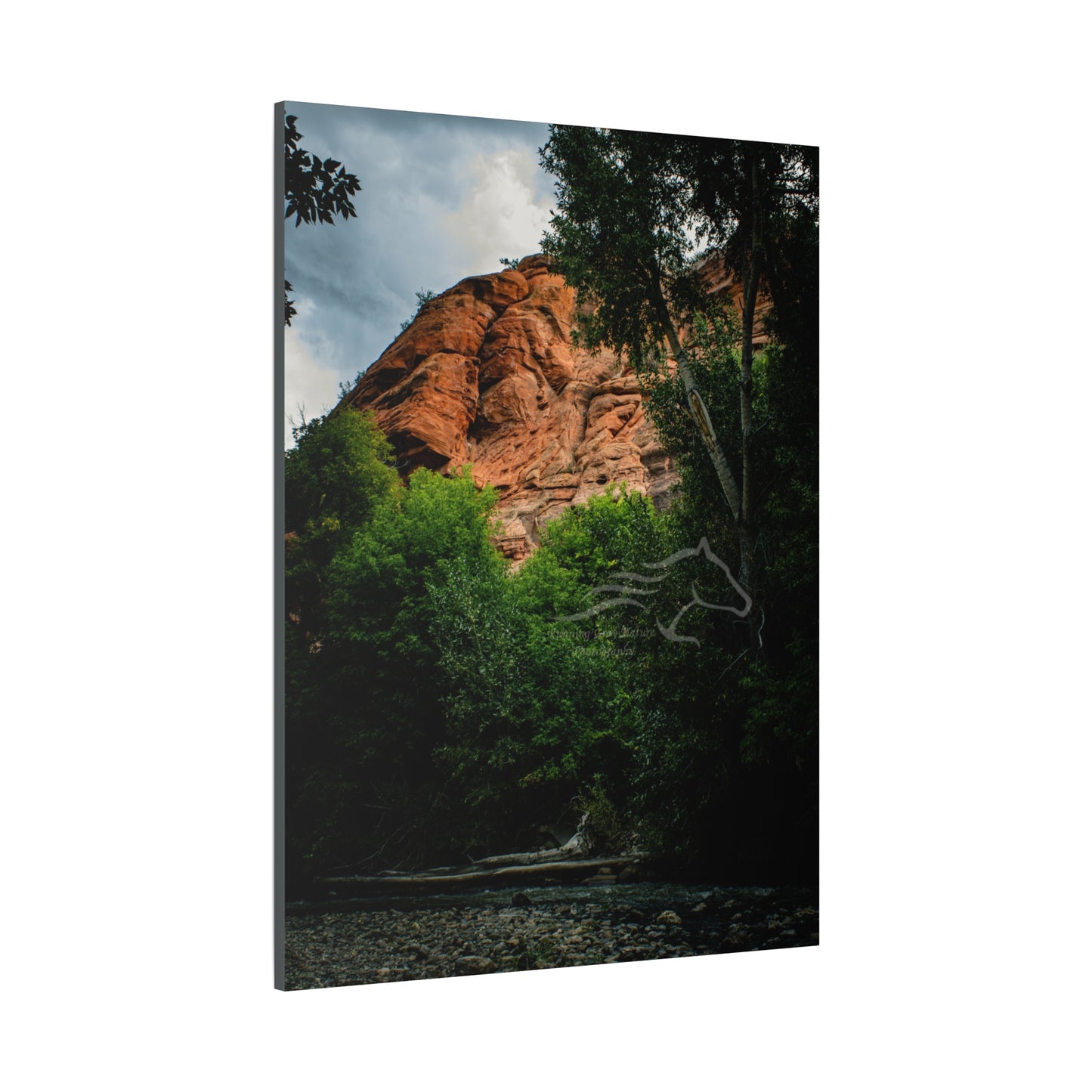 Red Rock Near Ayres Natural Bridge Canvas