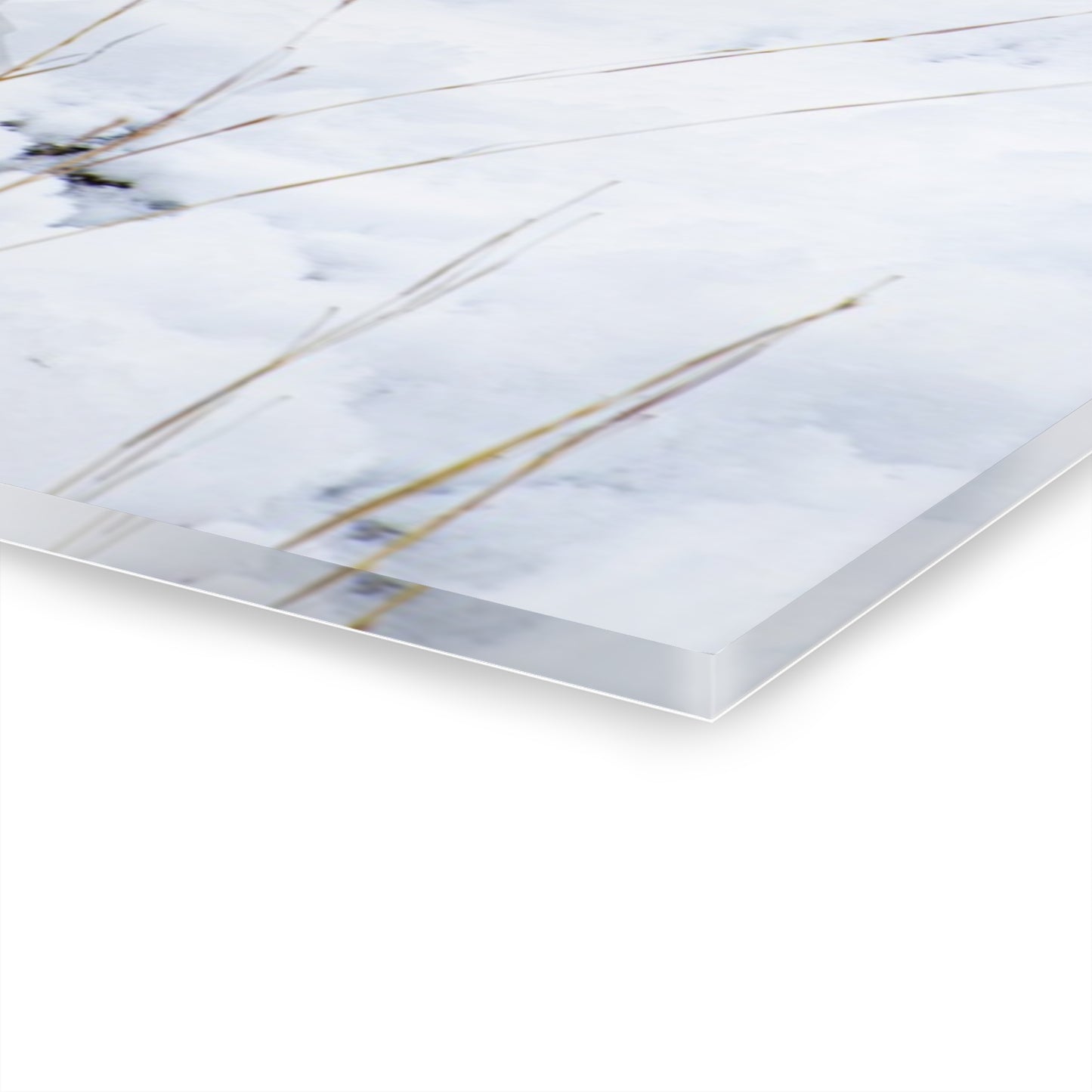 Deer Antlers in February Acrylic