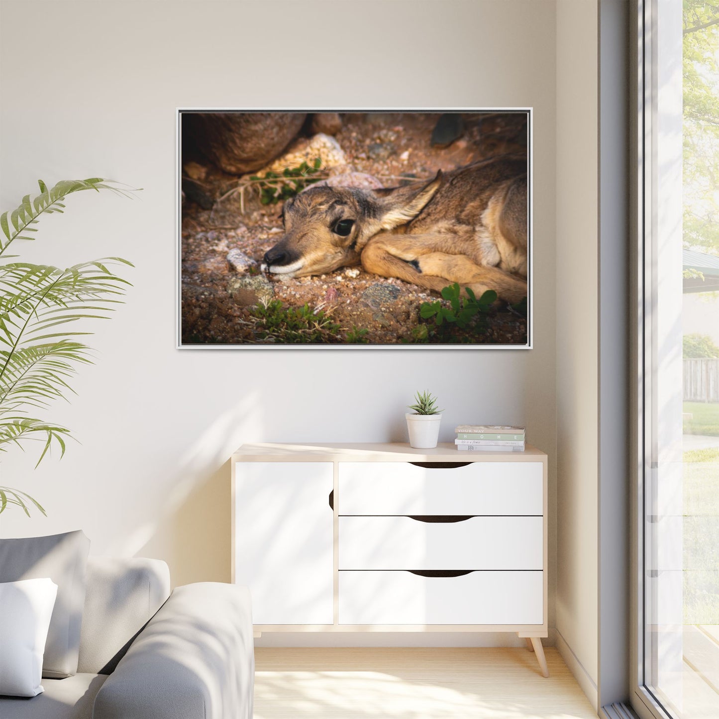 Baby Antelope Framed Canvas