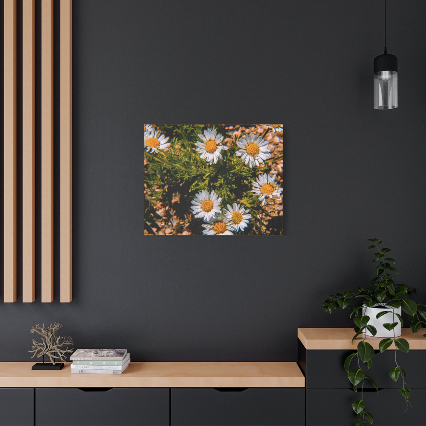 Wild Daisy Canvas