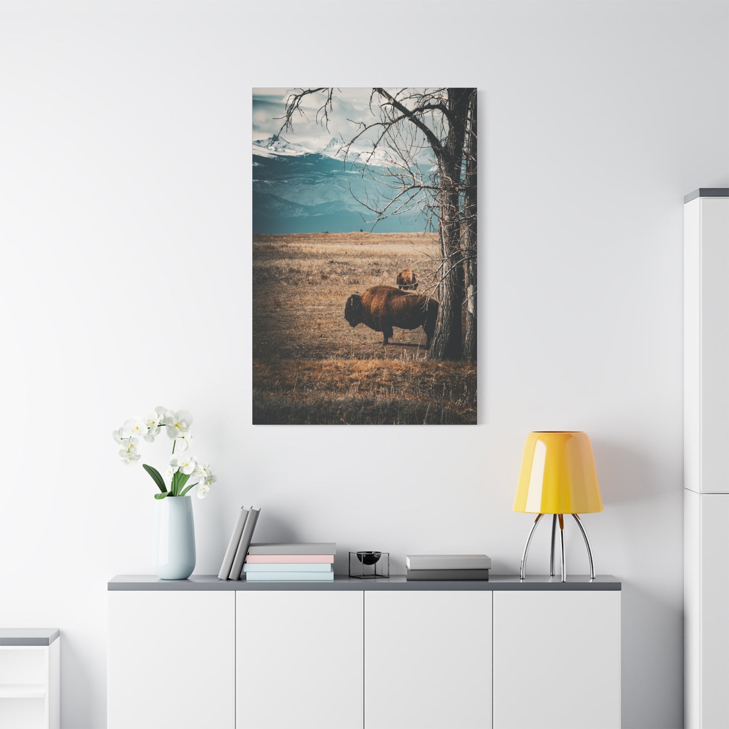 Rustic Bison Mountain Canvas